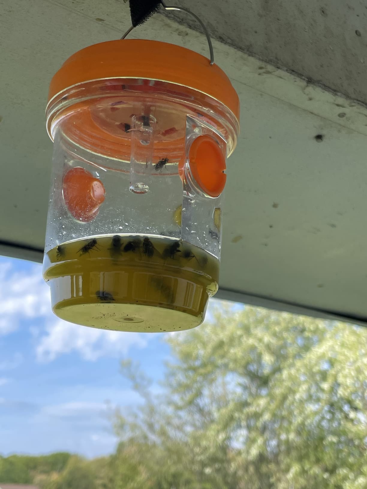 RESCUE! Reusable Yellowjacket Trap - 2 Pack + 2 Four-Week Refills customer photo 1