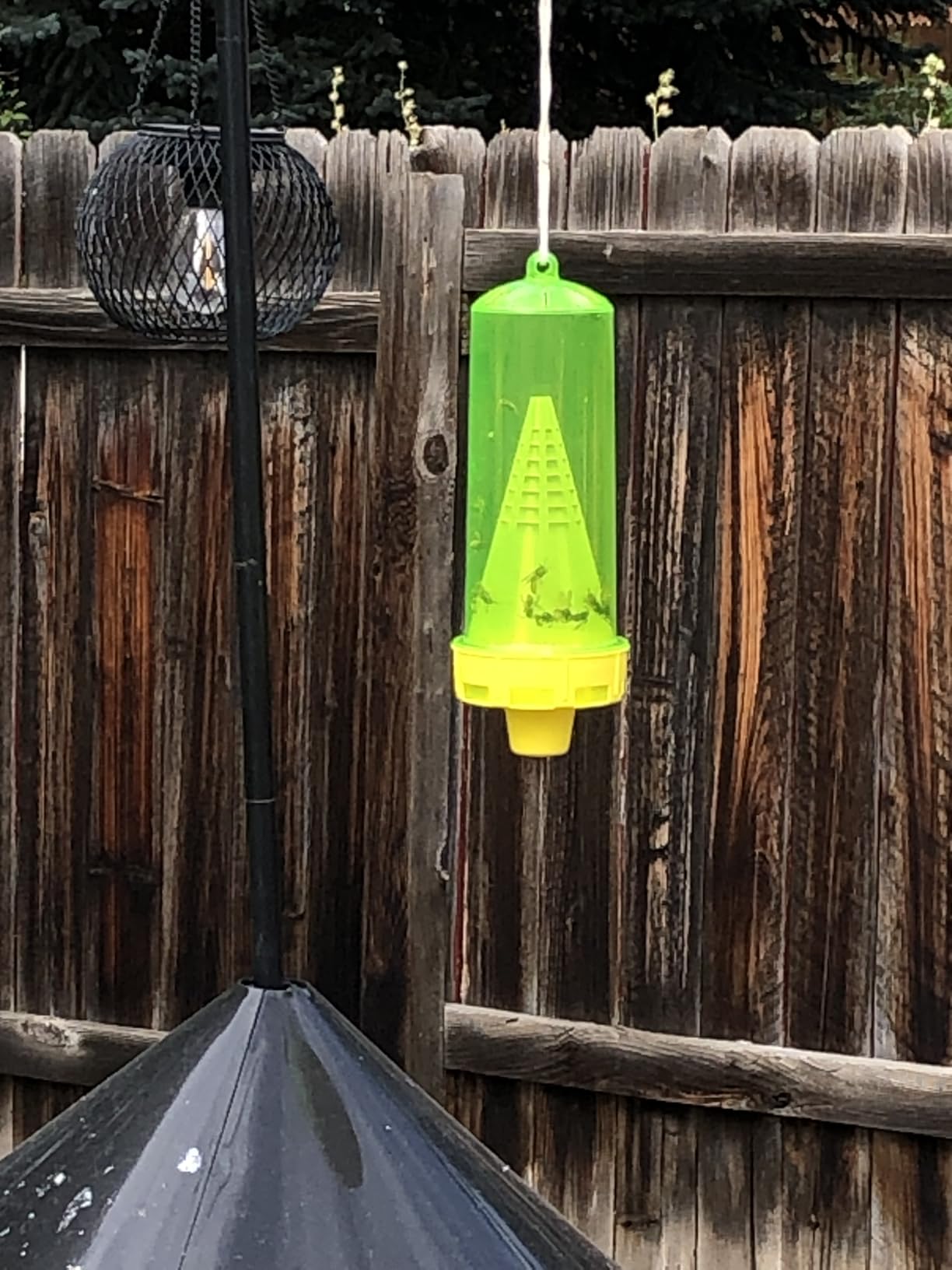 RESCUE! Reusable Yellowjacket Trap - 2 Pack + 2 Four-Week Refills customer photo 2