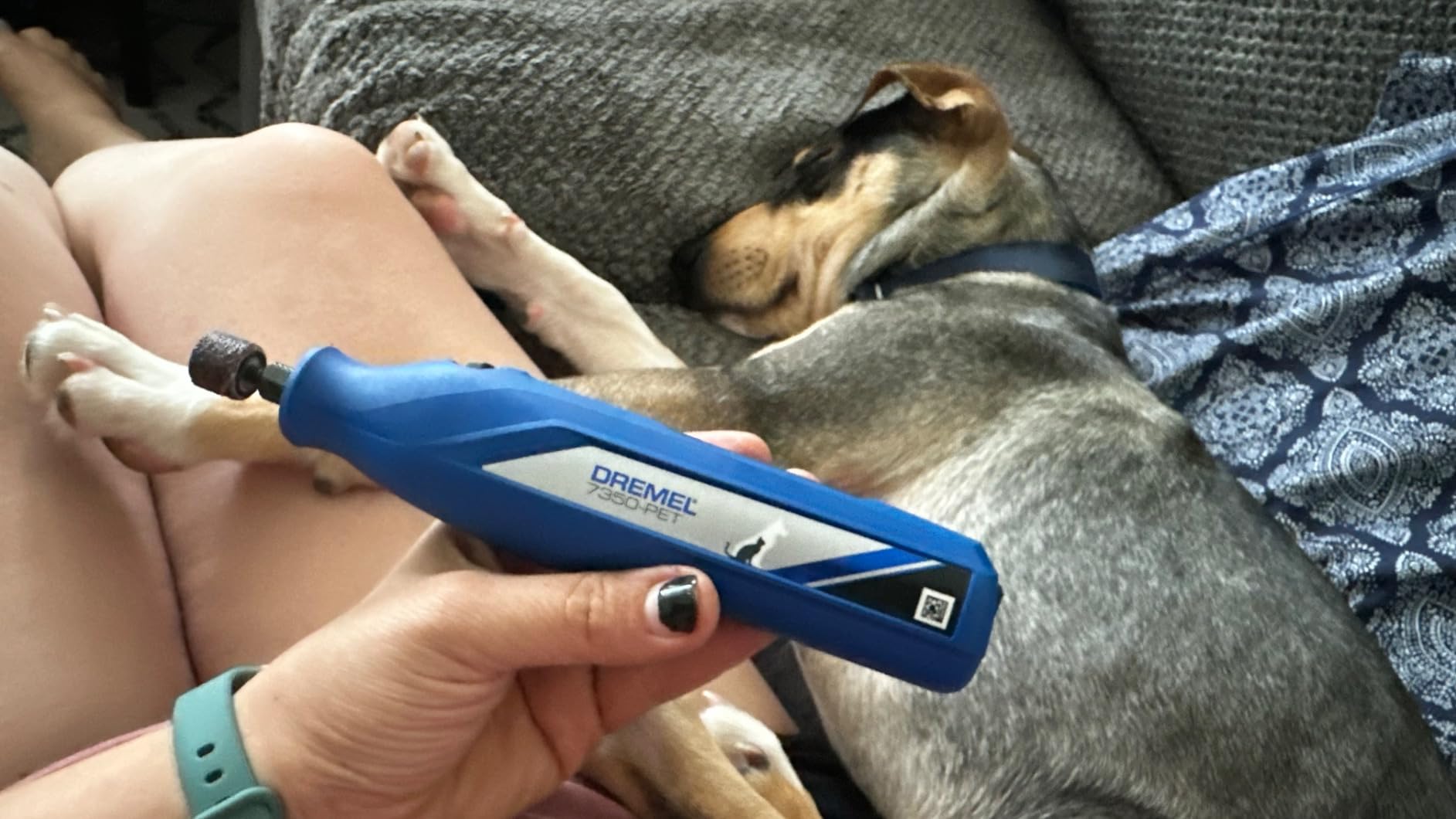 Dremel 7350-PET 4V Pet & Dog Nail Grinder, Easy-To-Use & Safe Nail Trimmer, Professional Pet Grooming Kit - Works on Large, Medium, Small Dogs & Cats customer photo 2
