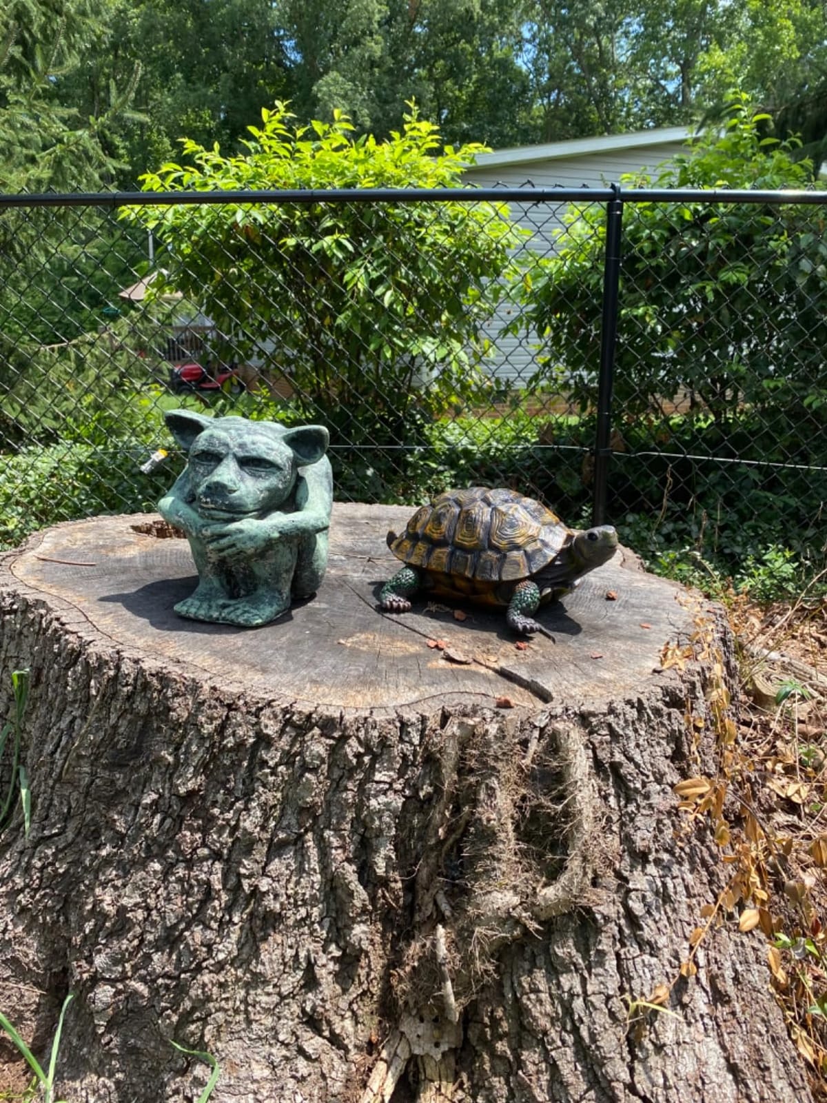 Turtle Statue, Resin Garden Sculpture Indoor/Outdoor Yard Lawn Ornament,Home Decor (Medium) customer photo 2