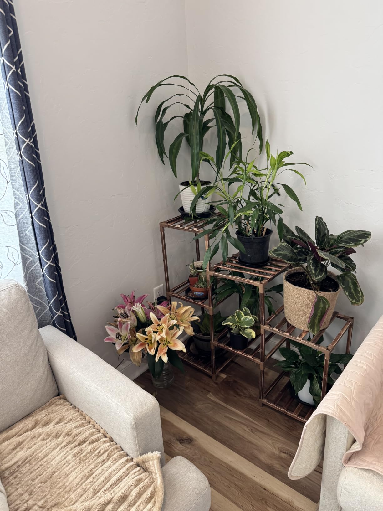 Bamworld Plant Stand Indoor Plant Shelf Outdoor Wood Plant Rack | for Multiple Plants 3 Tiers Ladder Plant Holder for Living Room Patio Boho Home Decor for Gardening customer photo 1