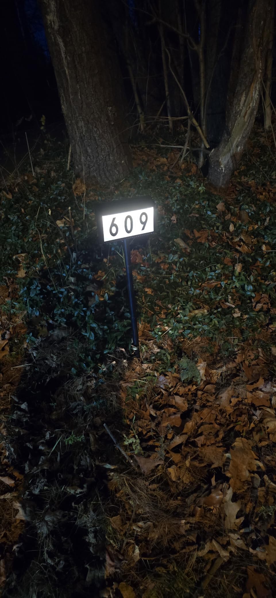 MAXvolador Solar Powered Address Sign House Number Waterproof 3-Light Modes | LED Illuminated Address Plaque, Wall Mounted & In Ground, Outdoor Address Numbers with Stakes for Outside Yard Home Driveway customer photo 2
