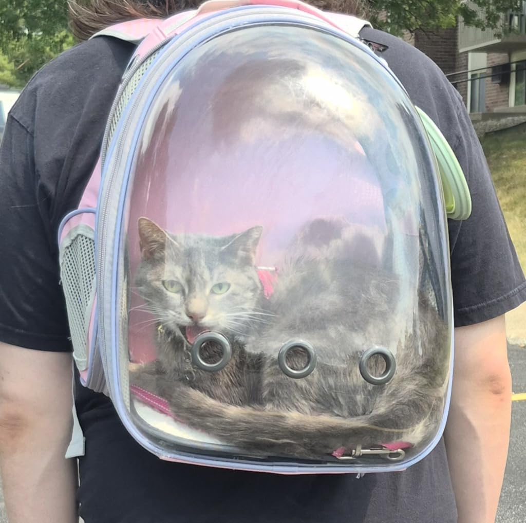 Lollimeow Cat Carrier Backpack, Expandable Bubble Pet Carrier for Cats and Small Dogs customer photo 1