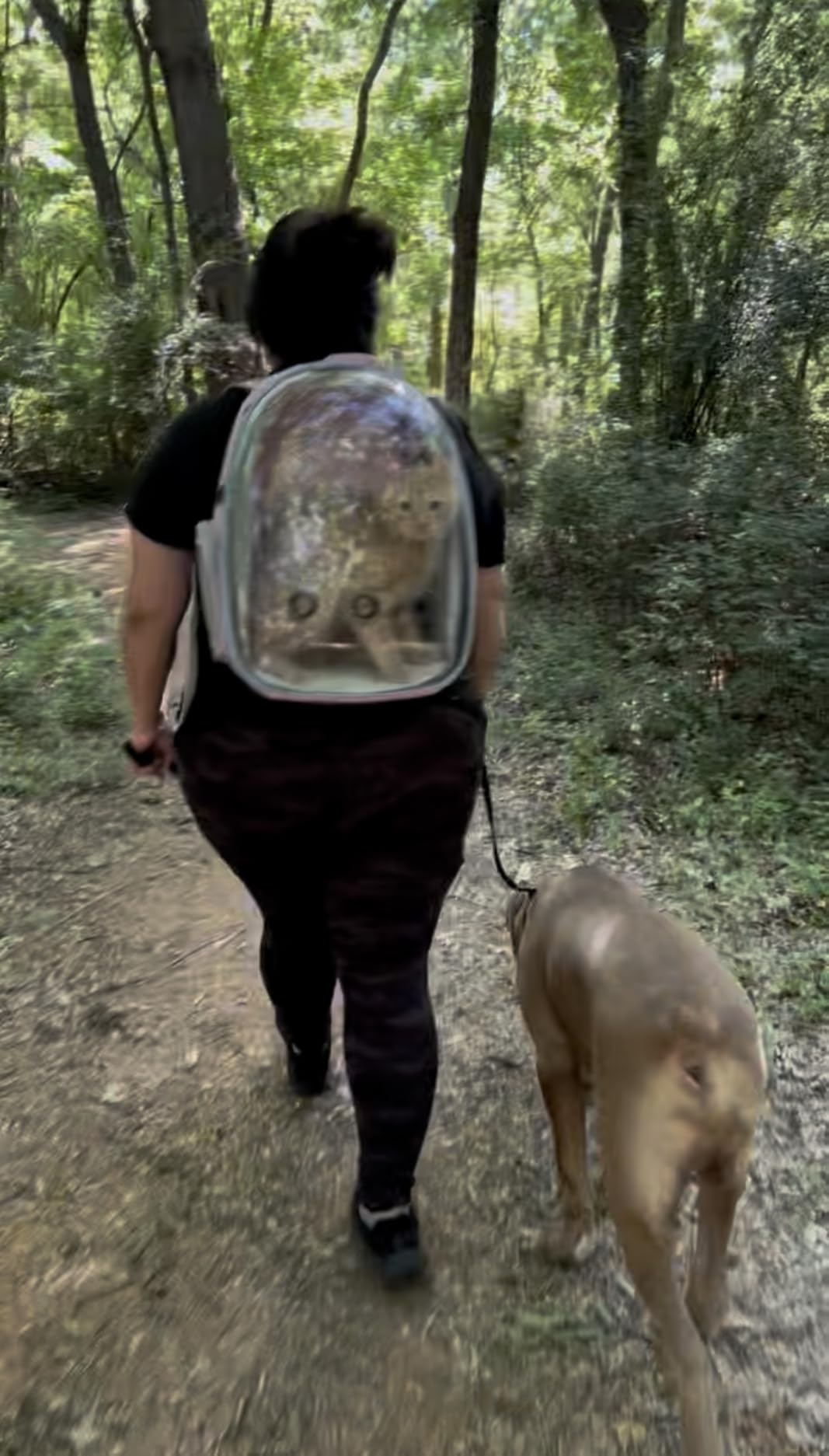 Lollimeow Cat Carrier Backpack, Expandable Bubble Pet Carrier for Cats and Small Dogs customer photo 2