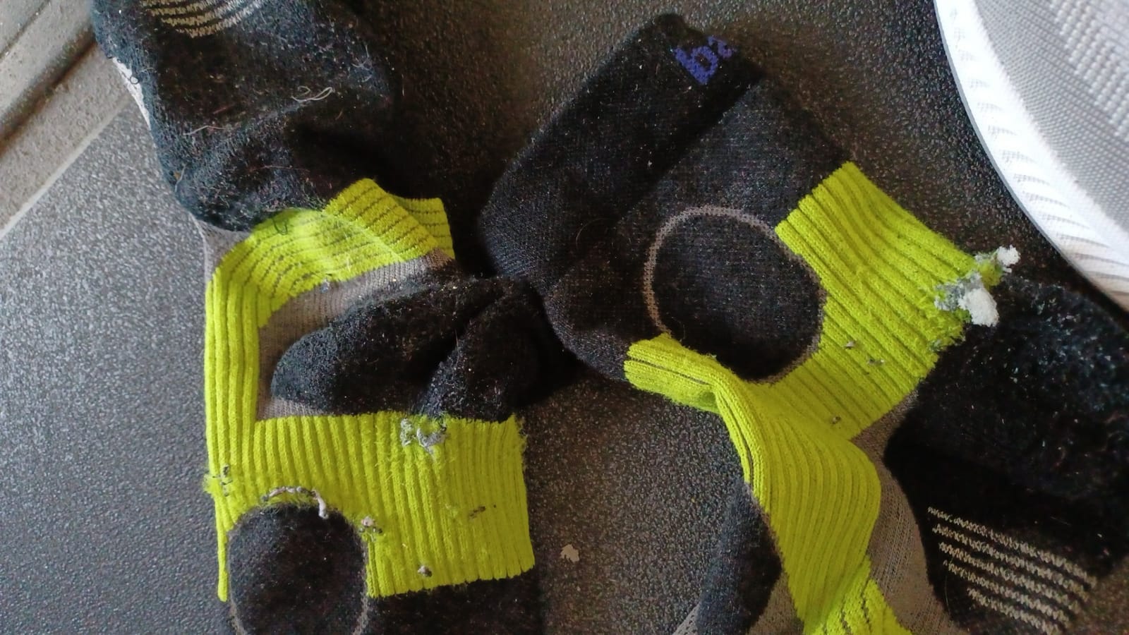 Quarter Support Socks by Balega customer photo 2