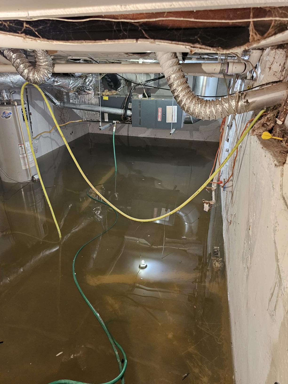The Basement Watchdog Combo Preassembled Primary & Battery Backup Sump Pump System w/Monitoring Controller customer photo 1