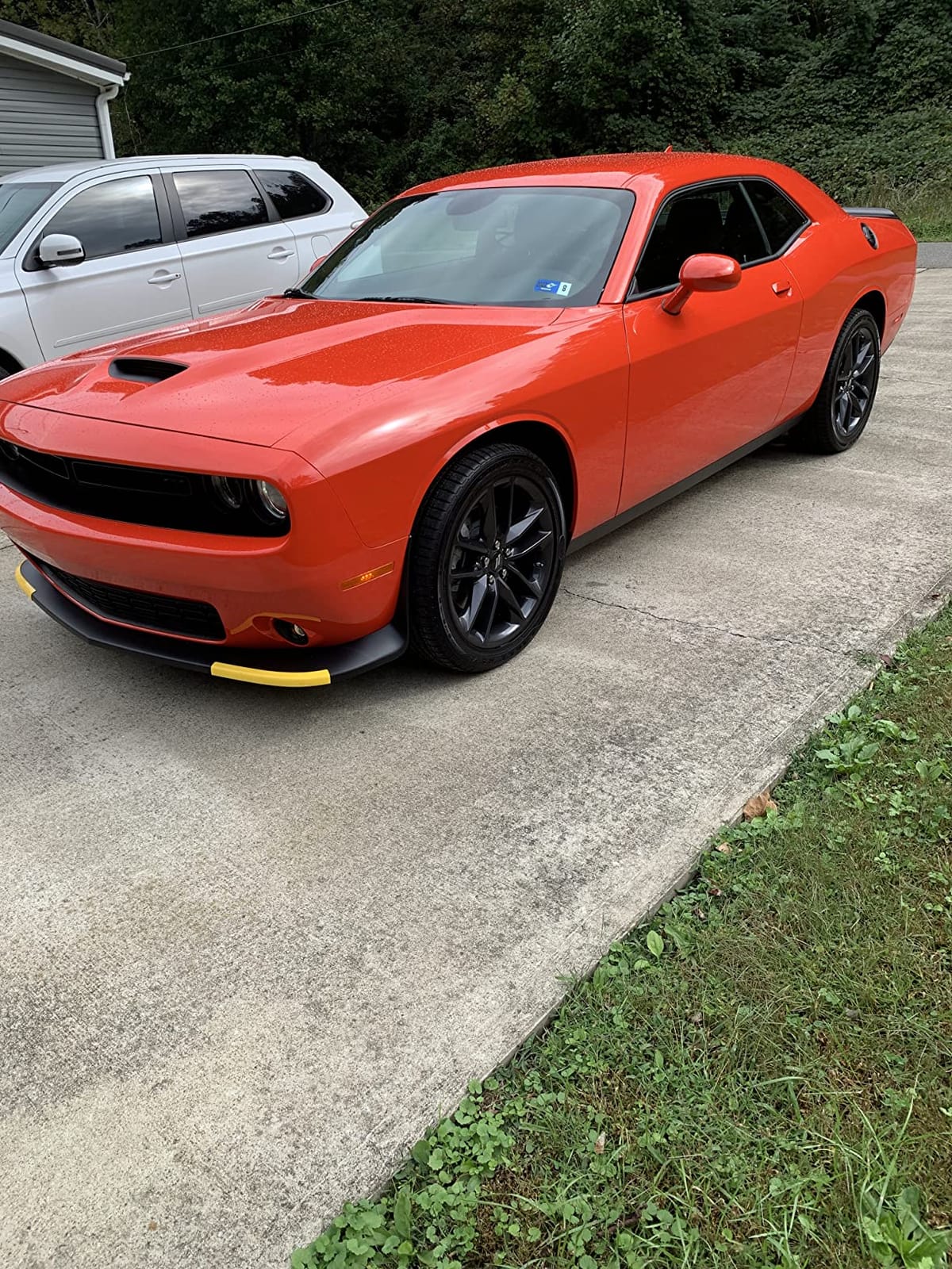 Chemical Guys, Wheelie Wheel & Exterior Brush for Rims & Tires, Soft, Green | Soft synthetic bristles clean rims, tires, grilles and emblems, safe on all wheel finishes with an easy grip customer photo 2