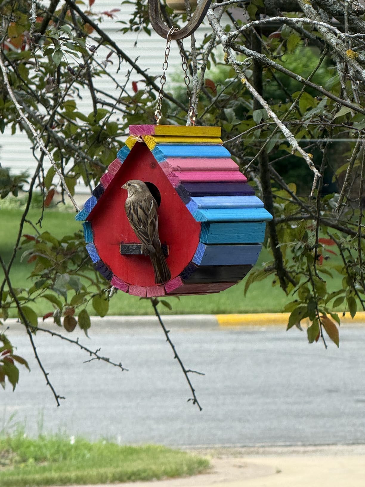 Wood Bird House for Outside, Wooden Bird House Bluebird Finch Cardinals Hanging Birdhouse for Garden customer photo 2