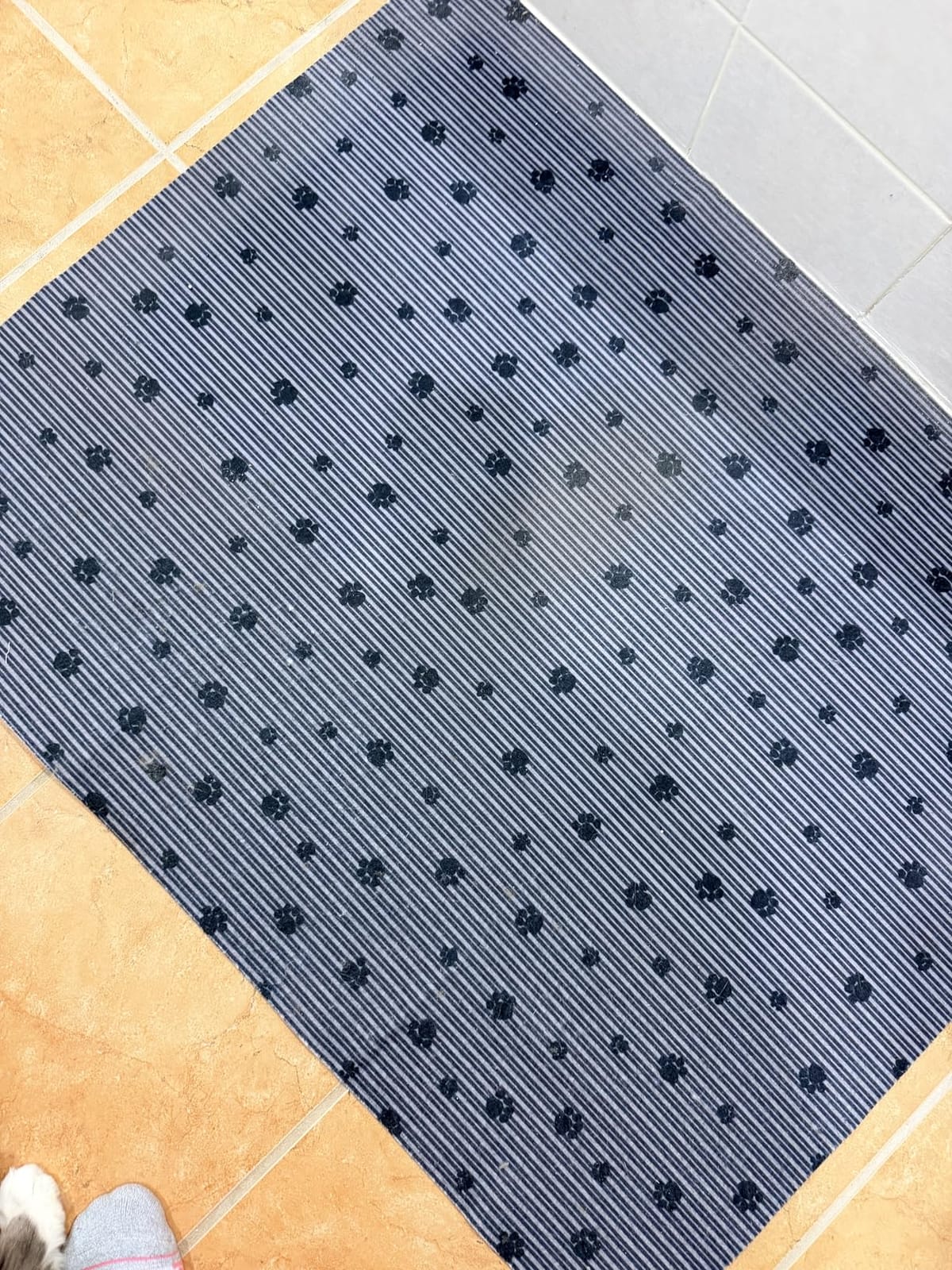 Drymate Cat Litter Box Mat, Litter Trapping Mat, Dark Grey, 28x36 XL | Waterproof, Urine-Proof, Absorbent, Machine Washable, Soft on Paws, Contains Mess, Protects Floors, Kitten Supplies, USA Made customer photo 2
