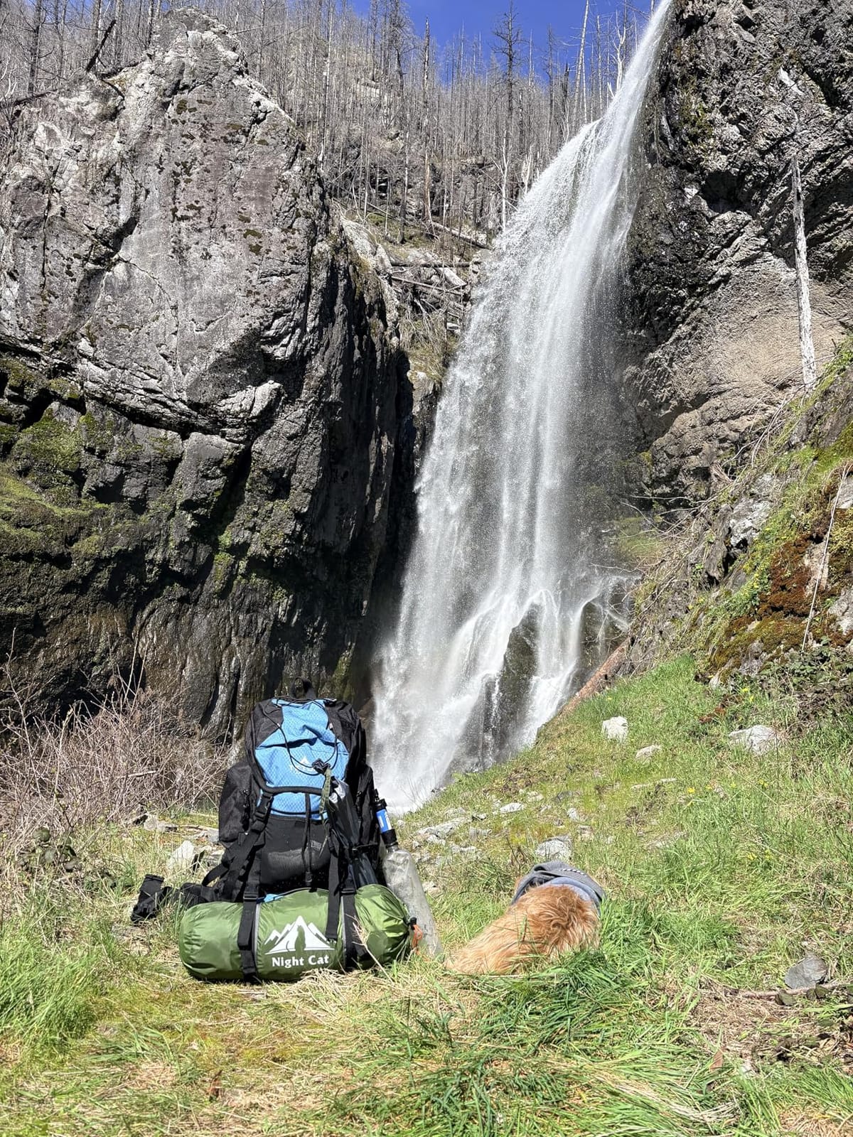 Teton 55L Scout Internal Frame Backpack customer photo 2