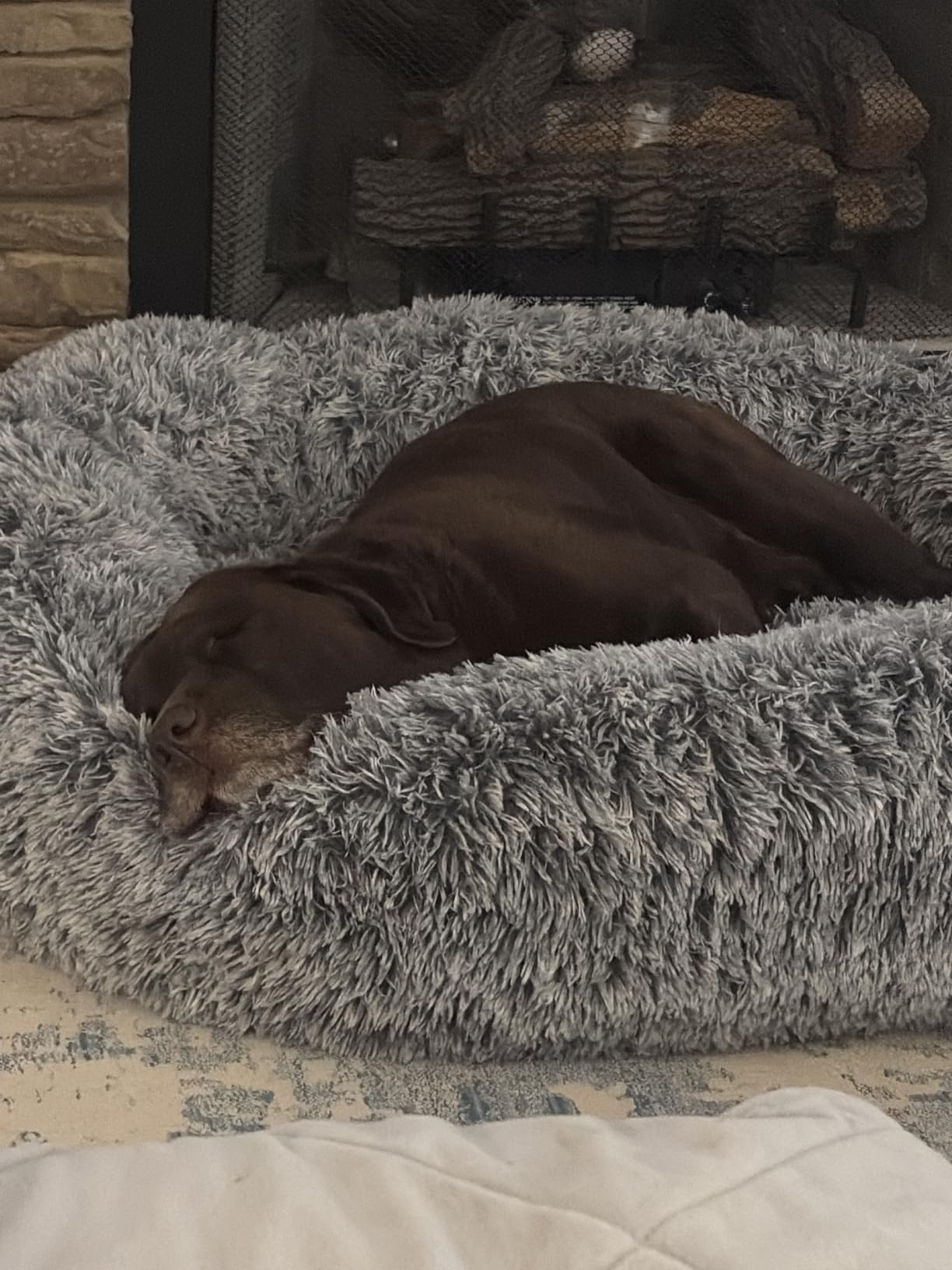 Bedfolks Calming Donut Dog Bed, 36 Inches Round Fluffy for Large Dogs, Anti-Anxiety Plush, Machine Washable (Dark Grey, Large) customer photo 1