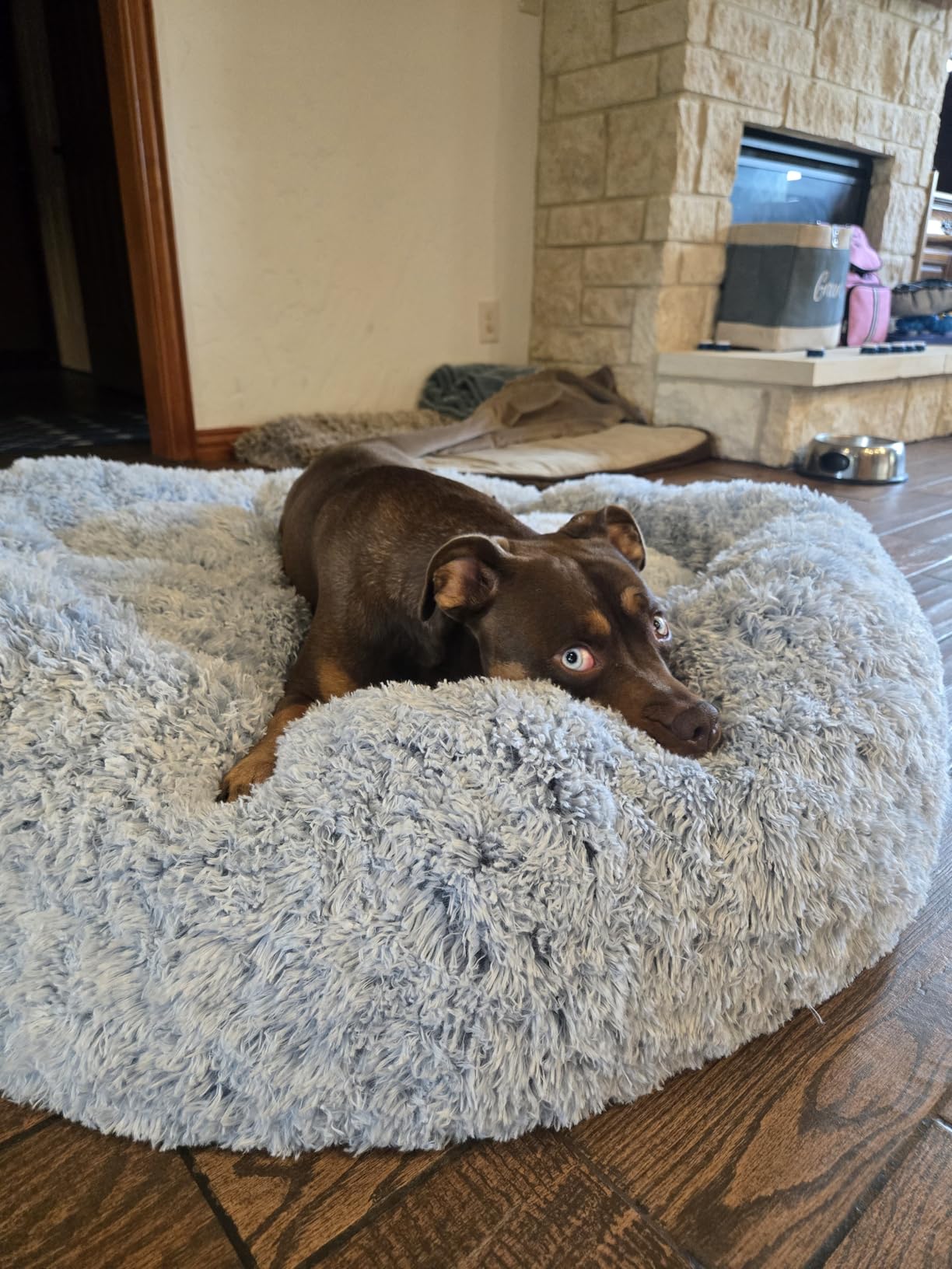 Bedfolks Calming Donut Dog Bed, 36 Inches Round Fluffy for Large Dogs, Anti-Anxiety Plush, Machine Washable (Dark Grey, Large) customer photo 2