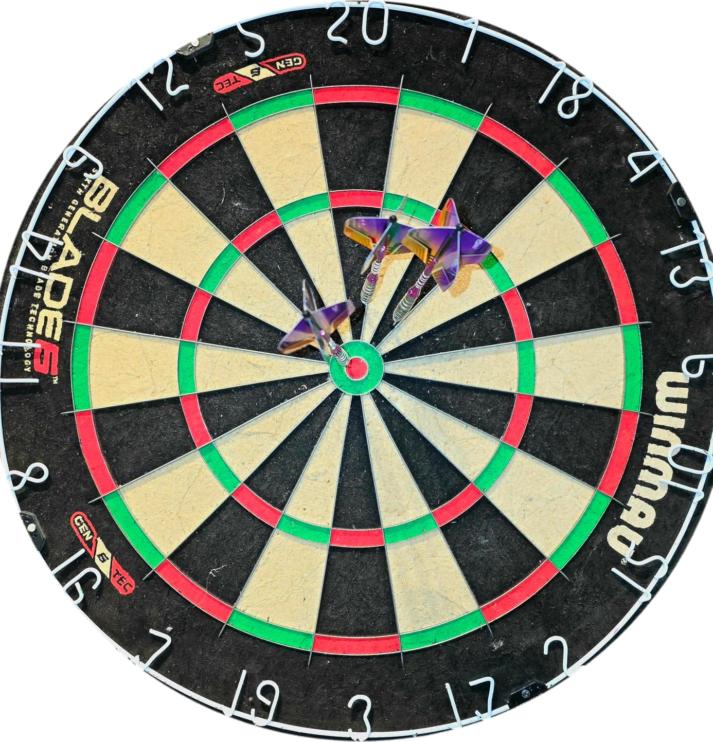 WINMAU Professional Bristle Dartboard - PDC Tournament Board with Official Tournament Specifications customer photo 1