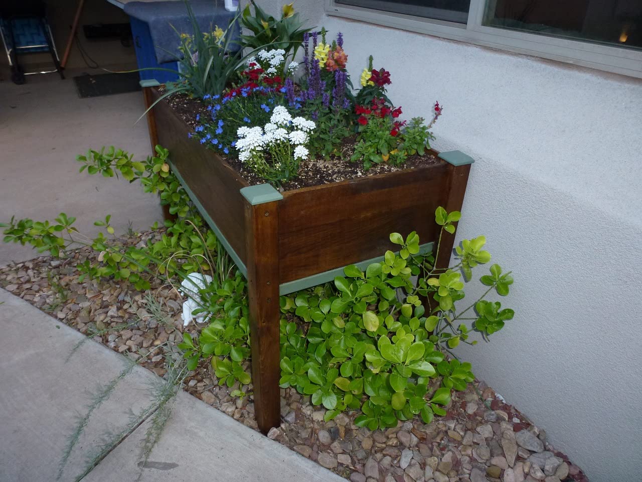 Raised Garden Bed with Legs, 48x24x30 Cedar Wood Elevated Planter Box | Ergonomic Gardening Height, Drainage Holes & Liner customer photo 1