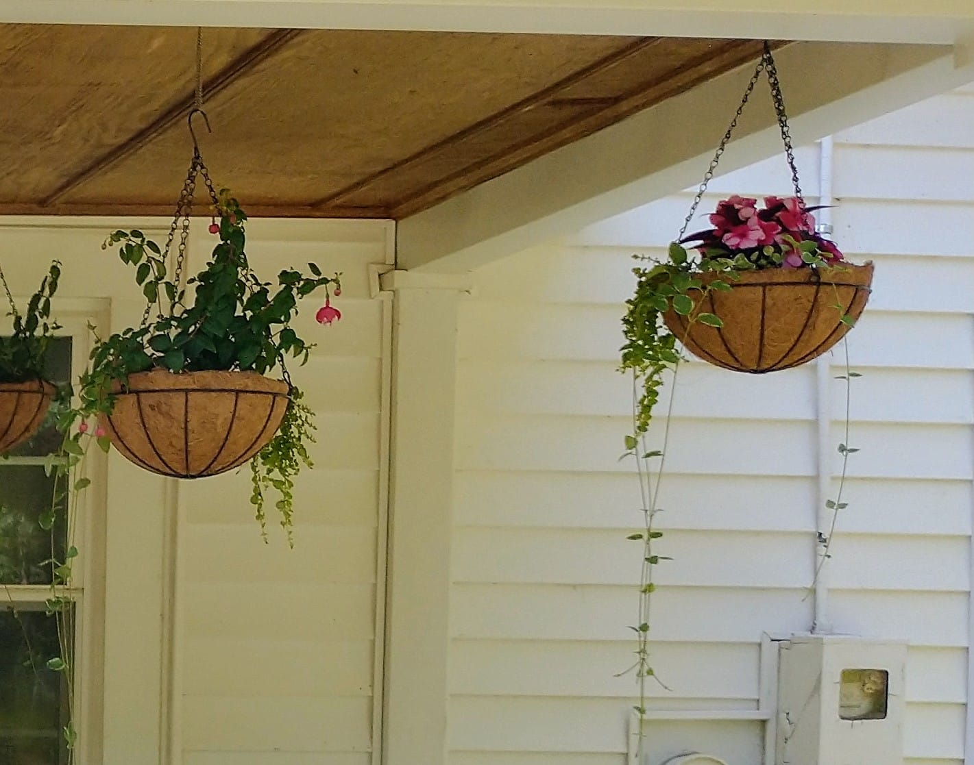 Wizdar Metal Hanging Planters Basket, 12 Inch Round, 2PCS | Coco Coir Liner, Wire Plant Holder, Porch Decor, Flower Pot Hanger, Garden Decor customer photo 1