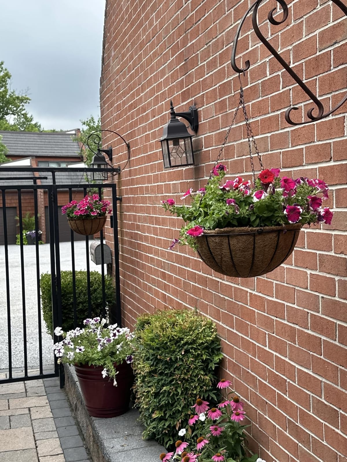 ZeeDix 2 Pack 14 Inch Hanging Baskets for Plants Outdoor, Metal Wire Round Planters with Coco Liner, Hanging Flower Baskets for Home Garden Porch Balcony Railings Decor customer photo 2