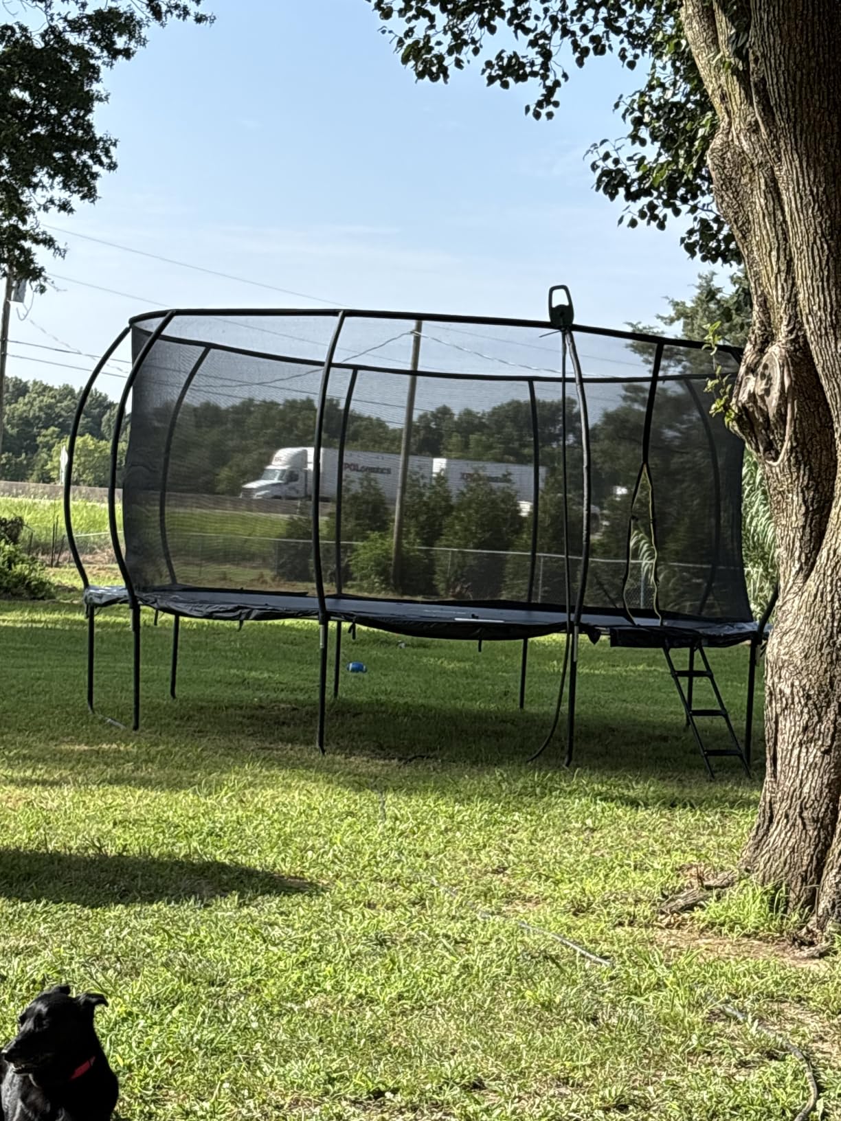 Jumpzylla Outdoor Trampoline with Net for Kids 8FT 10FT 12FT 14FT 15FT 16FT | ASTM-compliant trampoline with enclosure, non-slip ladder, rust-resistant galvanized steel frame, 8FT-16FT for kids & adults customer photo 2