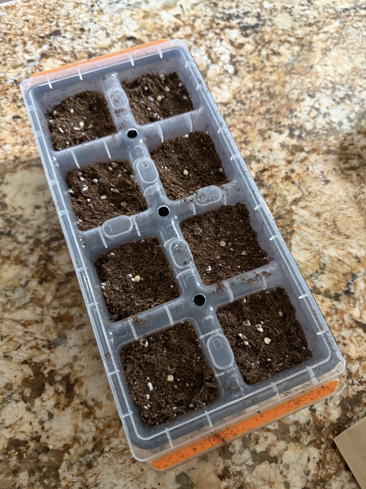 Burpee SuperSeed 36-Cell Reusable Seed Starting Tray for Indoor Seedlings | Flexible silicone cells pop out seedlings for easy transplanting. Ideal for starting vegetable, flower and herb seeds indoor. customer photo 1