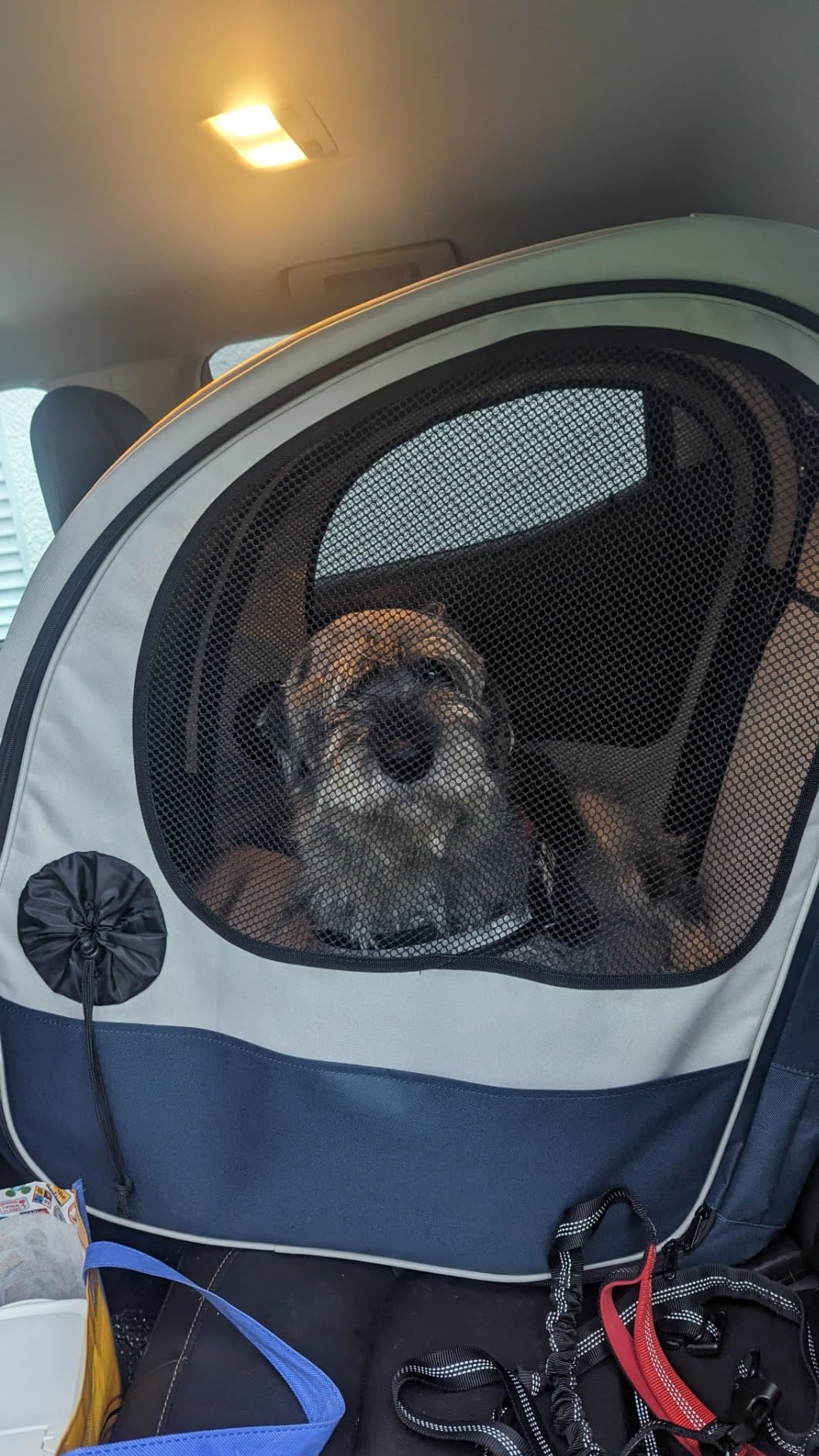 PetSafe Happy Ride Collapsible Travel Dog Crate | Mesh Sides for Ventilation, 2 Entry Doors, Removable Washable Fleece Pad Cover, Folds Flat for Storage, For Pets Up to 60 Lb customer photo 2