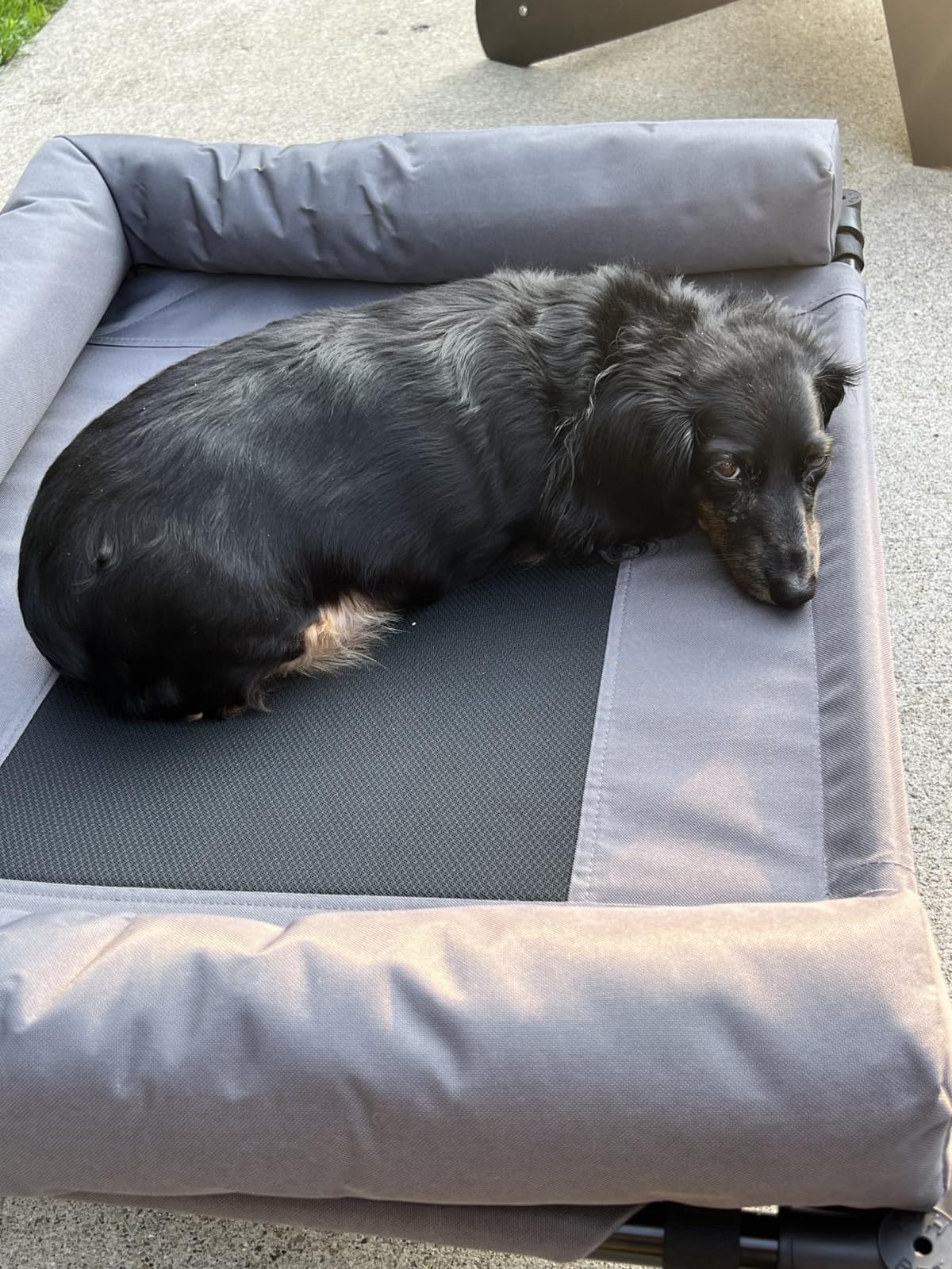 K&H Outdoor Elevated Dog Bed, Bolster Pet Cot, Medium 32x25in, Charcoal | Pet Cot for Medium & Large Pets, Washable Mesh Center Hammock with Removable Washable Bolsters, Indoor / Outdoor Dog Bed customer photo 2