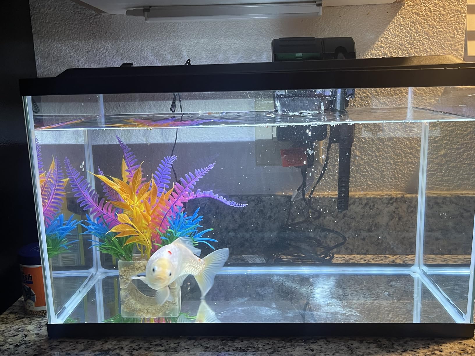Tetra LED 10 Gallon Complete Fish Tank Kit, Includes White LED Light, 10 Gallon Glass Tank With Hinged Hood, Filter, Filter Cartridge, For Freshwater Fish customer photo 1