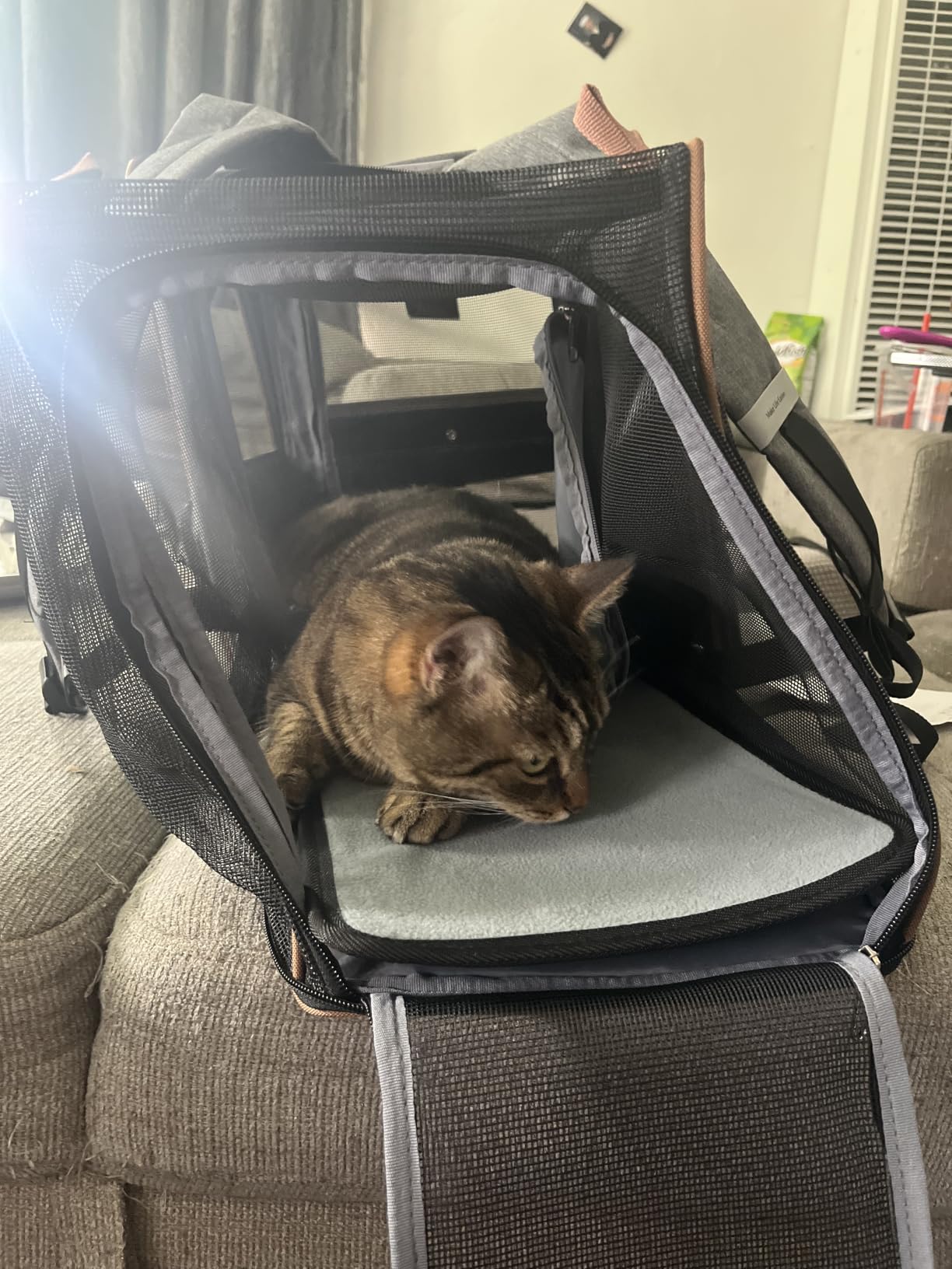 Cat Carrier Backpack, Expandable Pet Carrier with Sun Shade & Full Front Opening, Breathable Mesh Backpack for Small Dogs & Medium Cats Up to 18 Lbs, Foldable for Hiking, Camping (Grey) customer photo 2