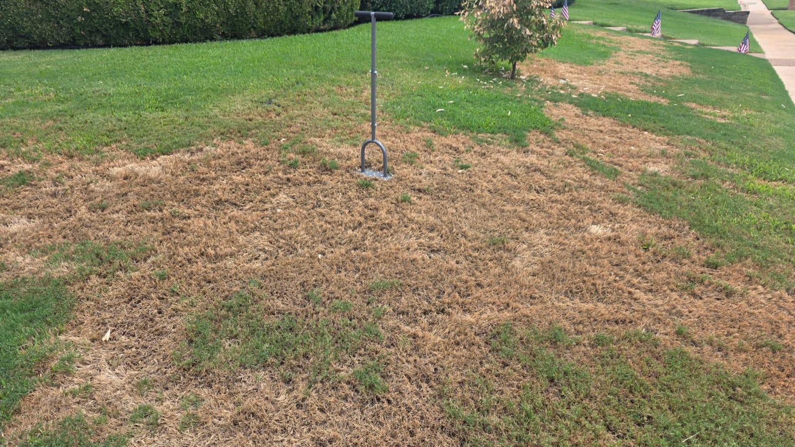 Walensee Manual Lawn Aerator Tool with 15 Iron Spikes, Garden Spike Aerator customer photo 1