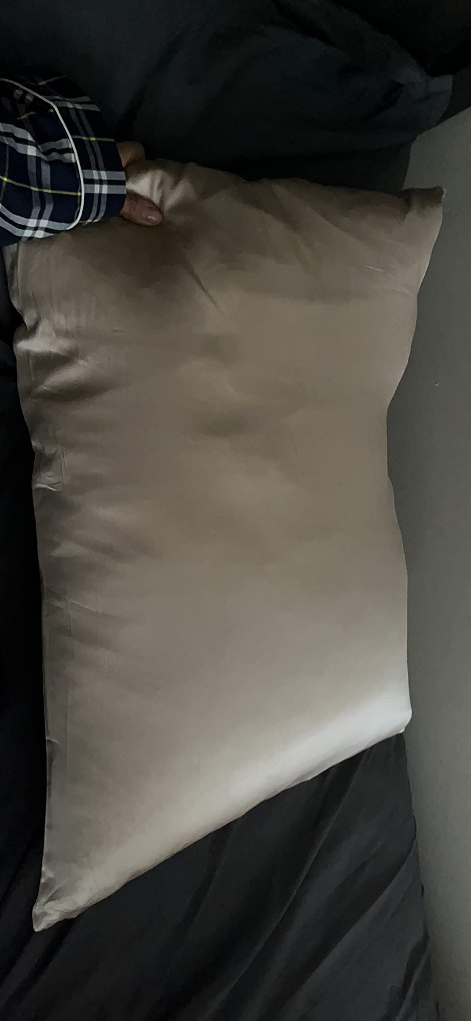 PROMEED 23 Momme 100% Mulberry Silk Pillowcase for Hair and Skin, Standard | Grade 6A+ Organic Silk Reduces Friction To Prevent Hair Breakage, Bedhead & Frizz While Preserving Scalp Natural Moisture customer photo 1