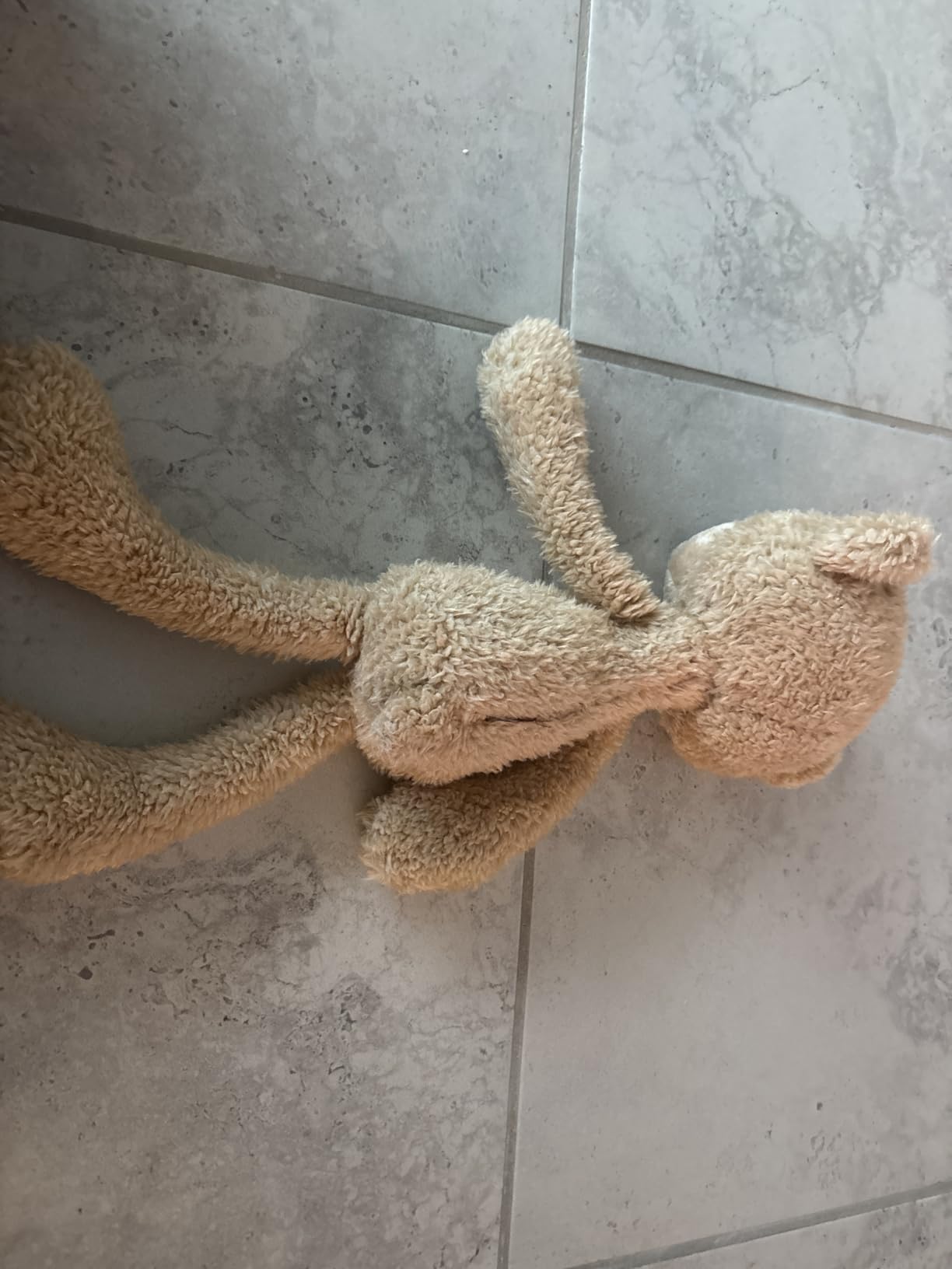 GUND Toothpick Cable 15-Inch Teddy Bear Plush Toy, Ages 1+ customer photo 2