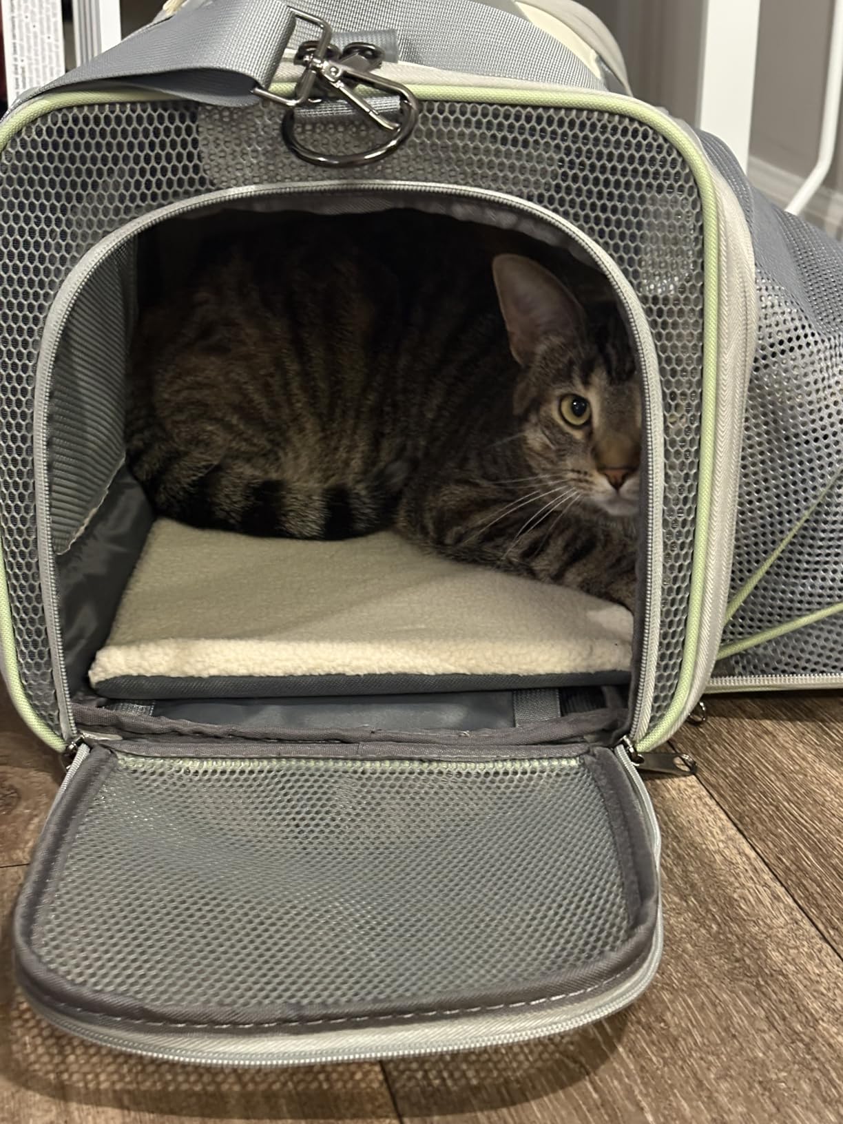 Pawaii Cat Carrier Airline Approved Expandable Breathable Safety Leash | Up to 13 lbs, 16.9 x 10.6 x 10.6 in, QR pet ID tag, top entry, luggage sleeve, soft fleece pad, foldable storage customer photo 2