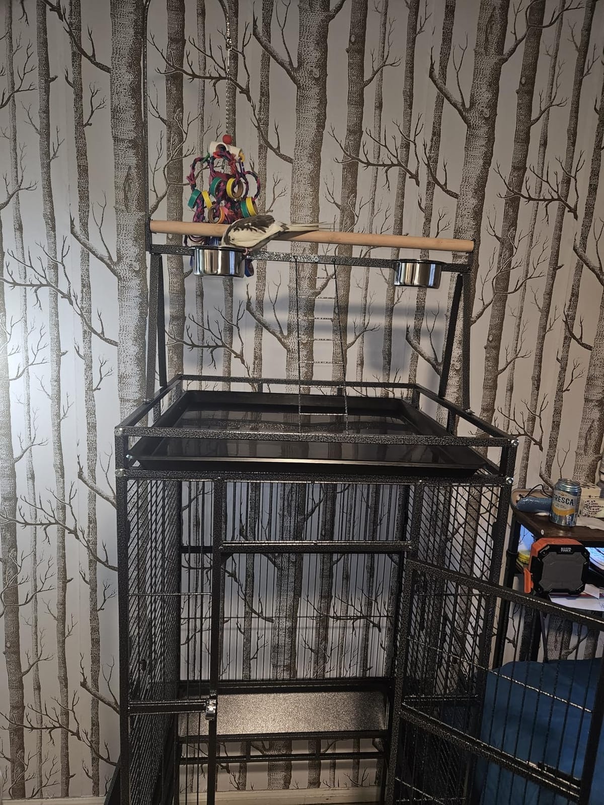 82 Inch Bird Cage, BOINN Bird Flight Cages with Rolling Stand & Bottom Tray, Wrought Iron Parrot Cage with PlayTop for Parakeet, Lovebirds, Ringneck, Cockatiels customer photo 1