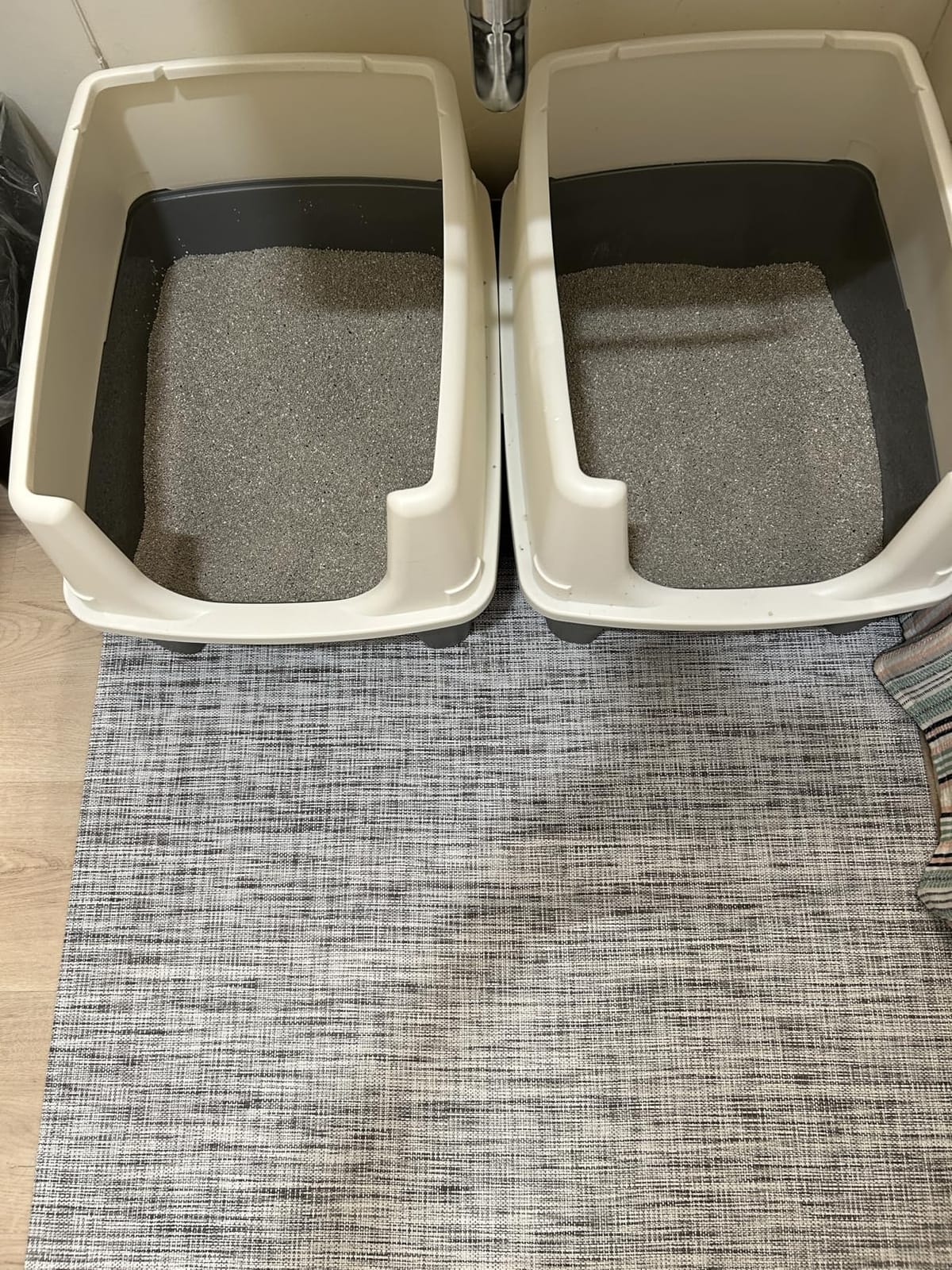 Amazon Basics Large Cat Litter Box with High Sides, Open Top for Easy Access, Includes Scoop with Storage, 19