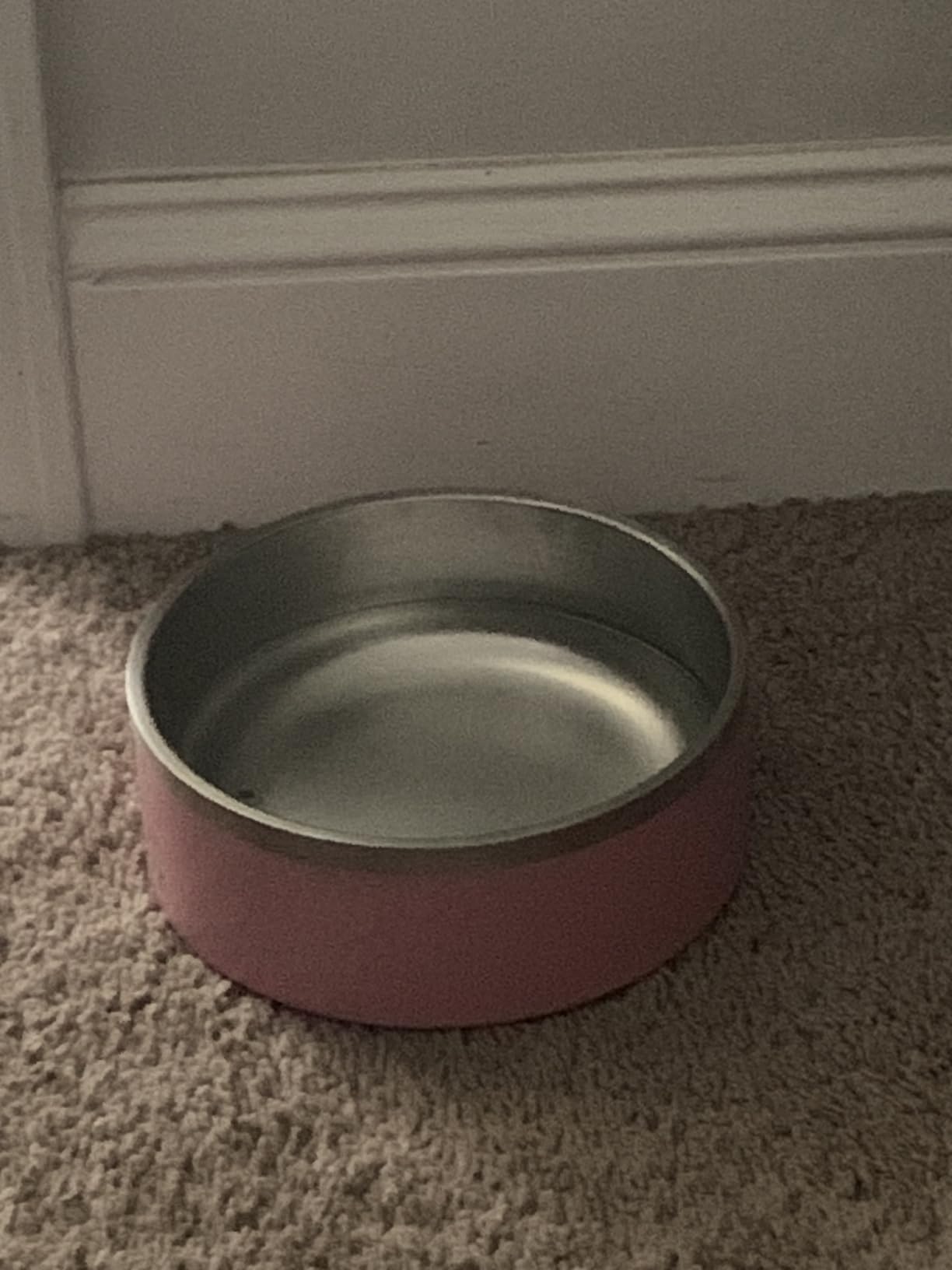 Coldest Dog Bowl - Anti Rust Metal, Non Slip, 3 Layers Insulated Stainless Steel Dog Bowls - Spill Proof & Heavy Duty - Water Bowl for Dogs, Cats, Dish Washer Safe (21 oz, Polished Stainless Steel) customer photo 1