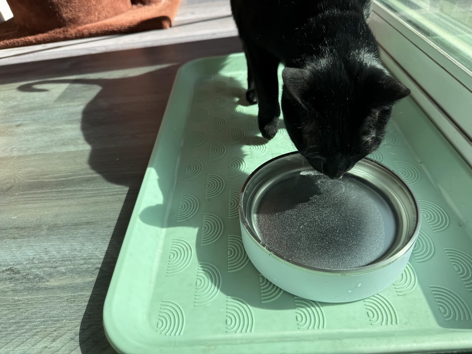 Coldest Dog Bowl - Anti Rust Metal, Non Slip, 3 Layers Insulated Stainless Steel Dog Bowls - Spill Proof & Heavy Duty - Water Bowl for Dogs, Cats, Dish Washer Safe (21 oz, Polished Stainless Steel) customer photo 2