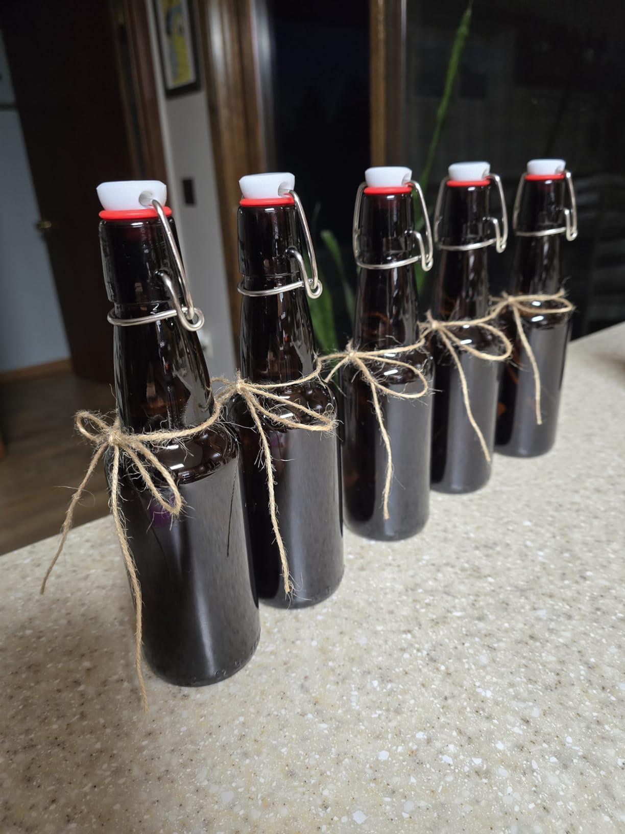Amber Beer Bottles with Flip Caps, 12oz 10 Pack Glass Bottle with Swinging Top for Airtight Lids, Home Brewing and Fermentation Kombucha, Vanilla Extract, Beverage, Water, Kefir customer photo 2