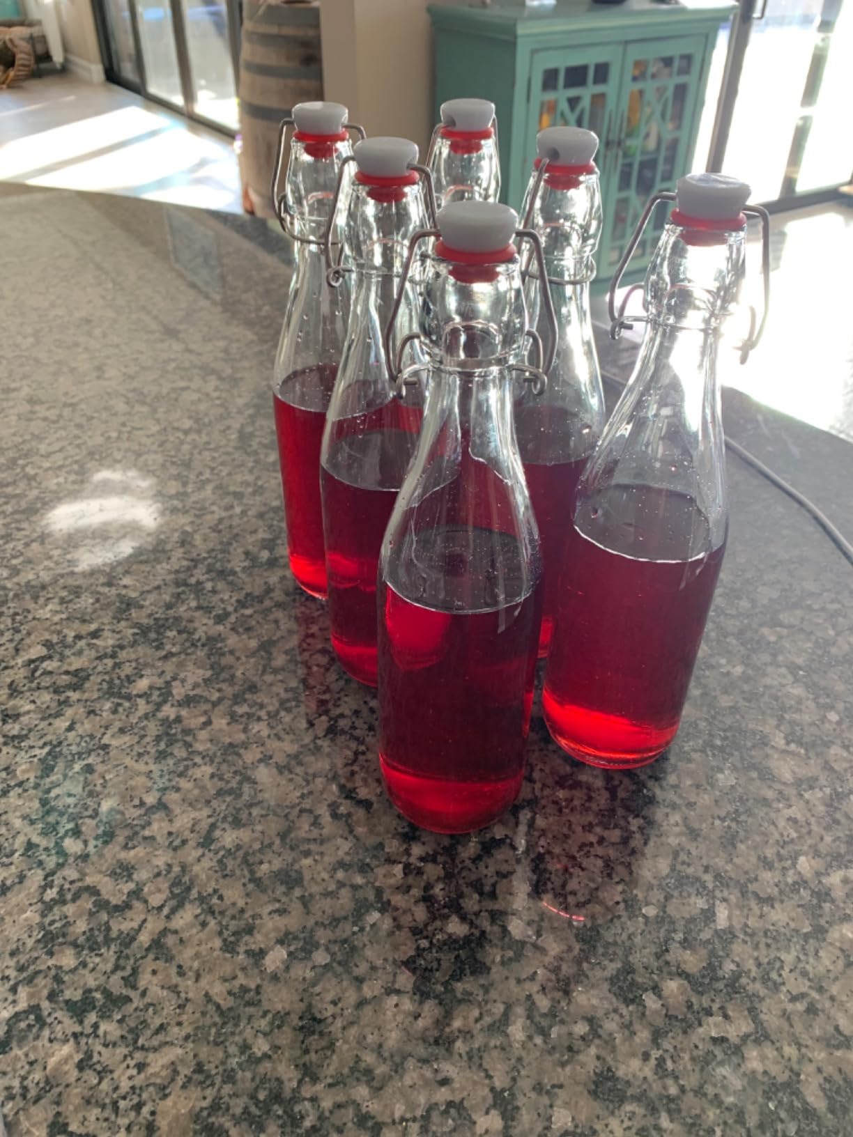 Clear Glass Bottle with Swinging Top for Airtight Lids, 16oz 10 Pack Beer Bottles with Flip Caps, Home Brewing and Fermentation Kombucha, Vanilla Extract, Beverage, Water, Kefir customer photo 2