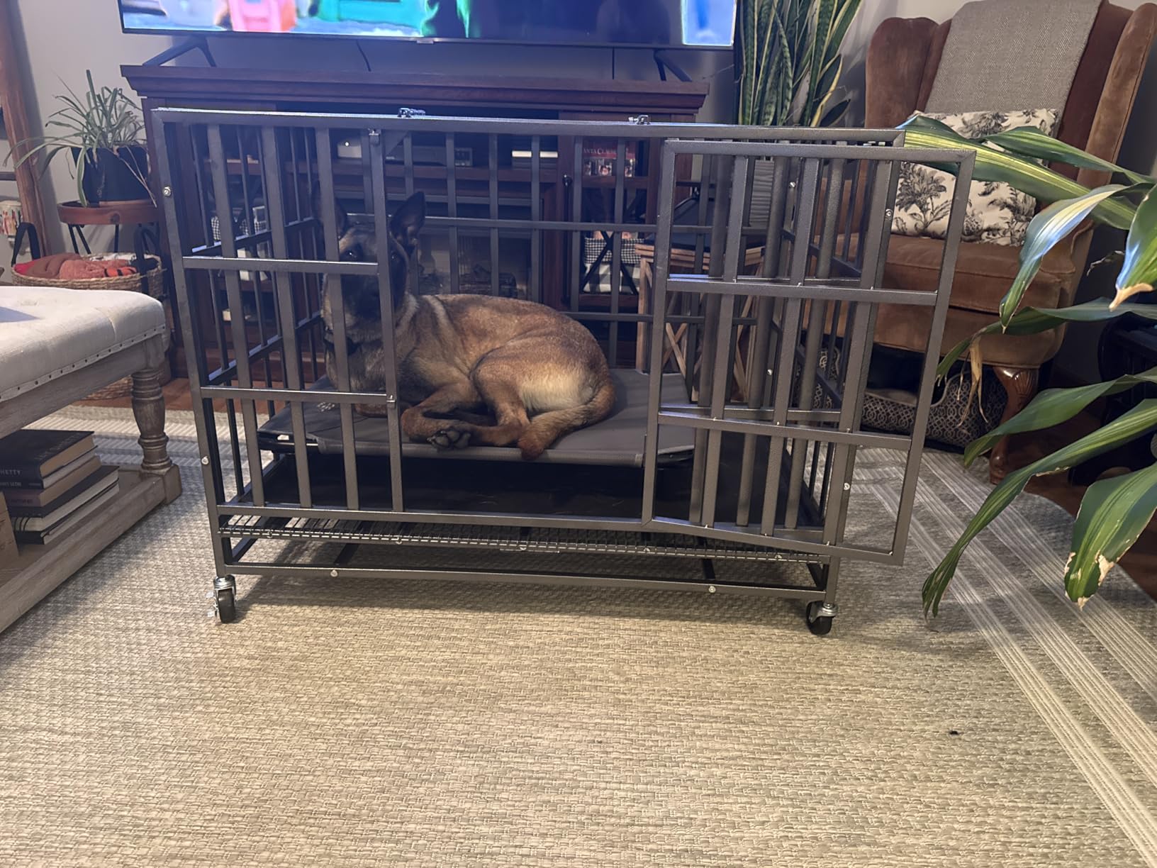 Hiwokk 48 Inch Heavy Duty Dog Crate, Indestructible Kennel for Large Dogs | 38-96