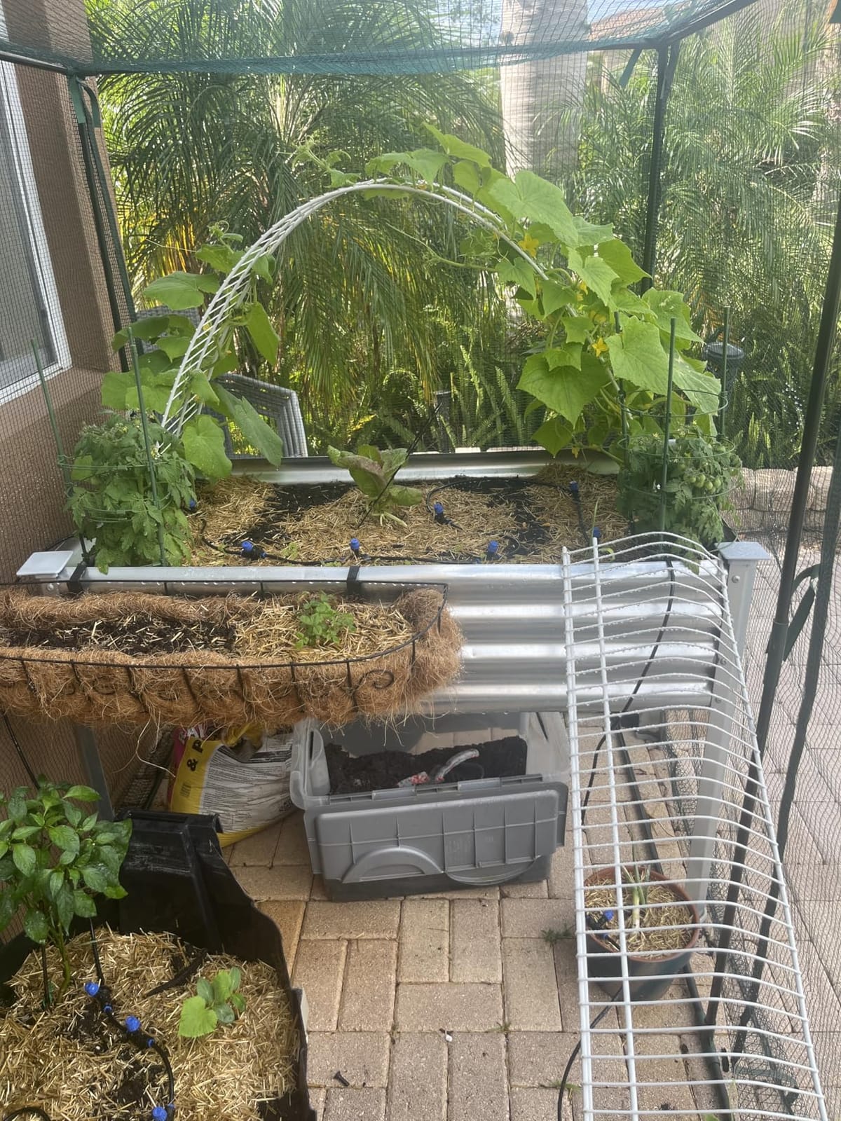 Land Guard Galvanized Raised Garden Bed with Legs, 48x24x32in Large Metal Elevated Raised Planter Box with Drainage Holes for Backyard, Patio, Balcony, 700lb Capacity customer photo 1
