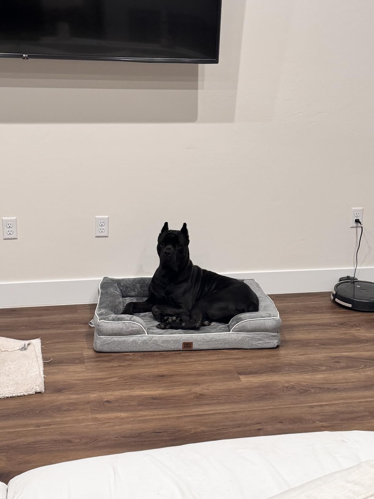 EHEYCIGA Orthopedic Extra Large Dog Bed, Waterproof Washable XL Pet Bed 44