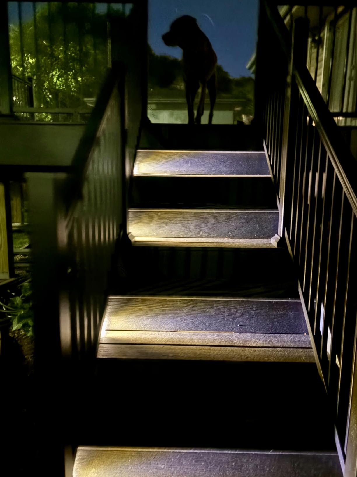 VOLISUN Solar Stair Lights 6 Pack, Solar Step Lights Outdoor Waterproof | IP67, LED Outdoor Step Light, Outdoor Light Decor for Garden Stair, Deck, Front Step, Front Porch, and Patio (3000K) customer photo 1
