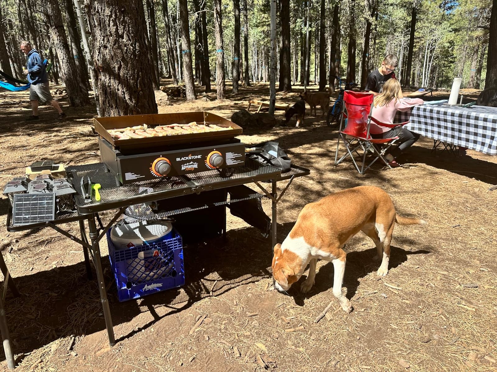 Nice C Metal Folding Grill Table, Camping Tailgate Grill Station | 2 Tier Design, Adjustable Height&Width, Mesh Net, Carry Handle, Outdoor, BBQ, Camping customer photo 1
