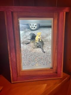 Skylight Digital Picture Frame, Load from Phone Capability, 15