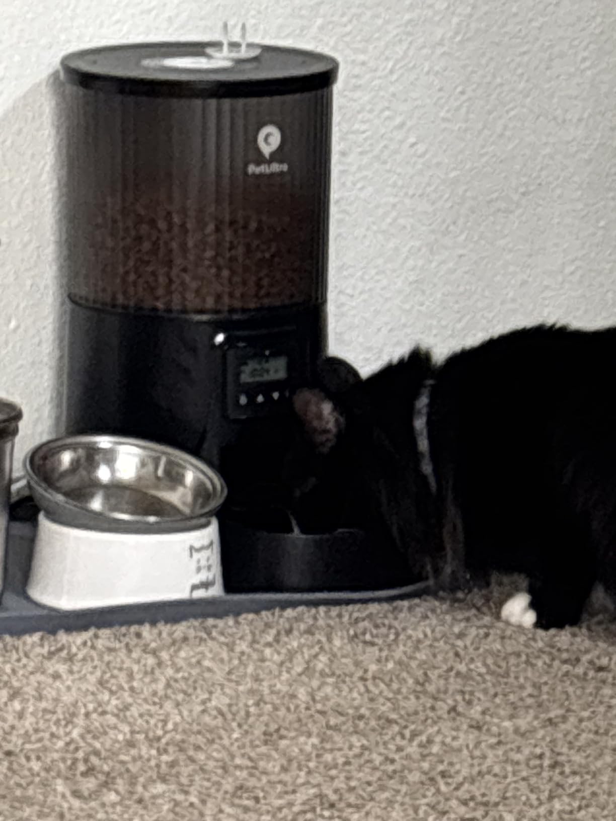 PETULTRA Automatic Cat Feeder: 4L Timed Cats Food Dispenser Programmable | Easy to Set, Dual Power, Precise Portion, Auto Pet Feeder with Desiccant Bag, Detachable Washable for Cats and Small Dog customer photo 1