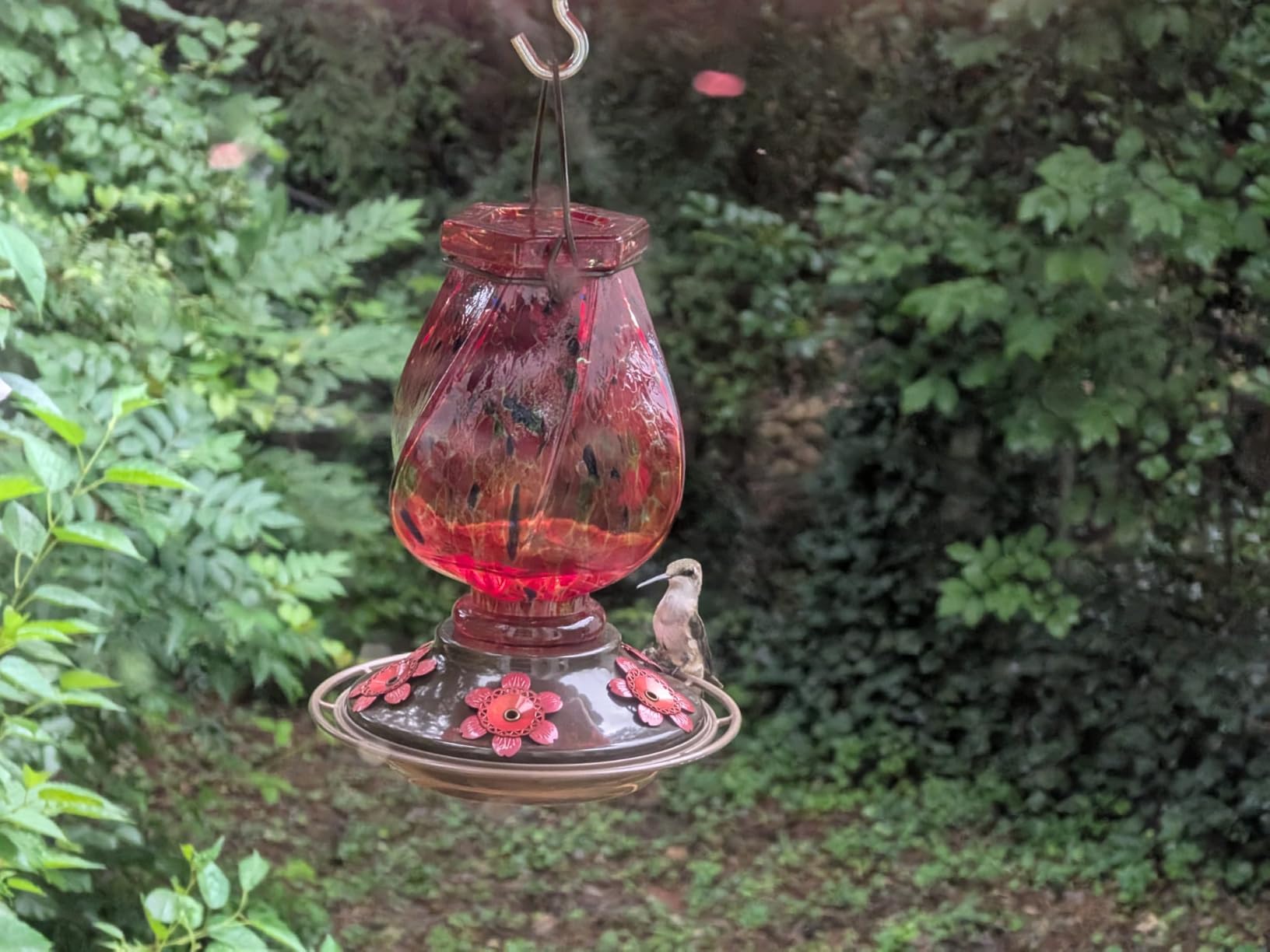 Hummingbird Feeders for Outdoors Hanging, Hand Blown, Blue, 22oz | Glass Hummingbird Feeder with Ant Moat, 5 Bee-Proof Ports, Leak-Proof, 360° Perch, Garden Decor, Gifts for Women Men Mom Dad customer photo 1