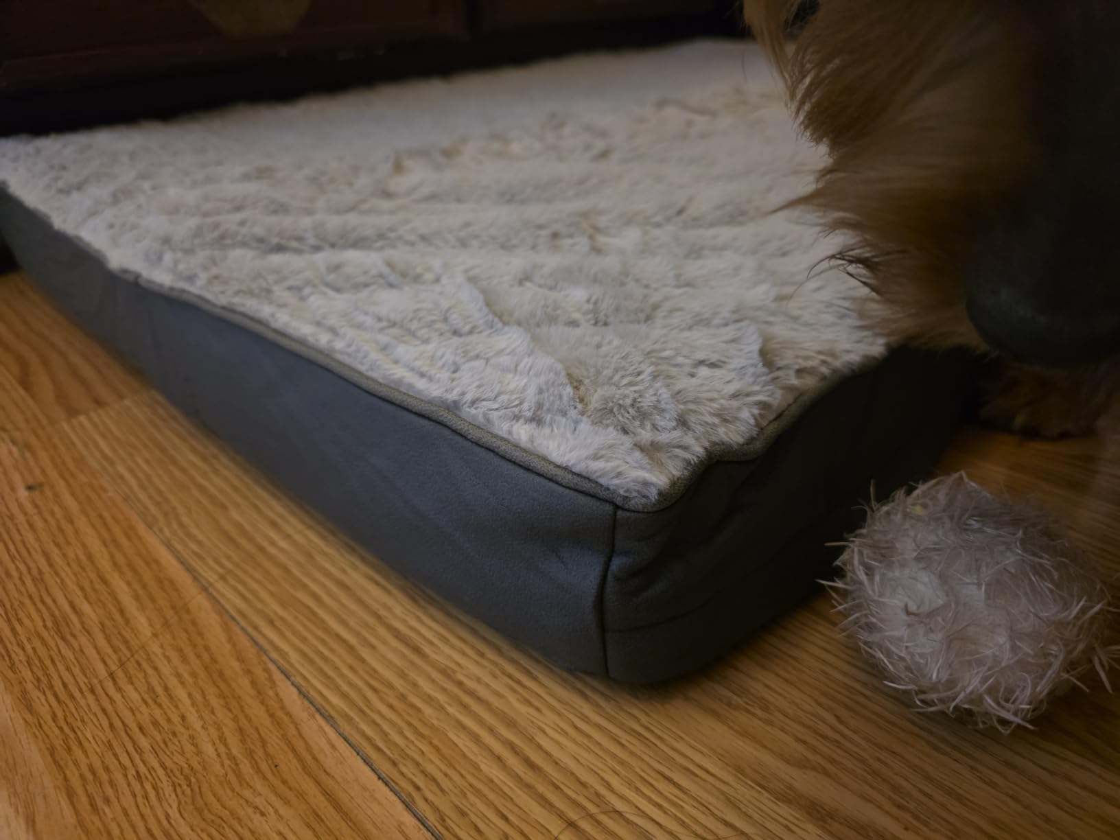 Sunheir Washable Orthopedic Large Dog Bed with Removable Cover, Pet Bed Mat | Big Waterproof Dog Crate Bed, Egg Crate Foam Support, Anti-Slip Bottom, Easy-Clean, Soft Plush Dog Beds Large Sized Dog, Grey customer photo 1