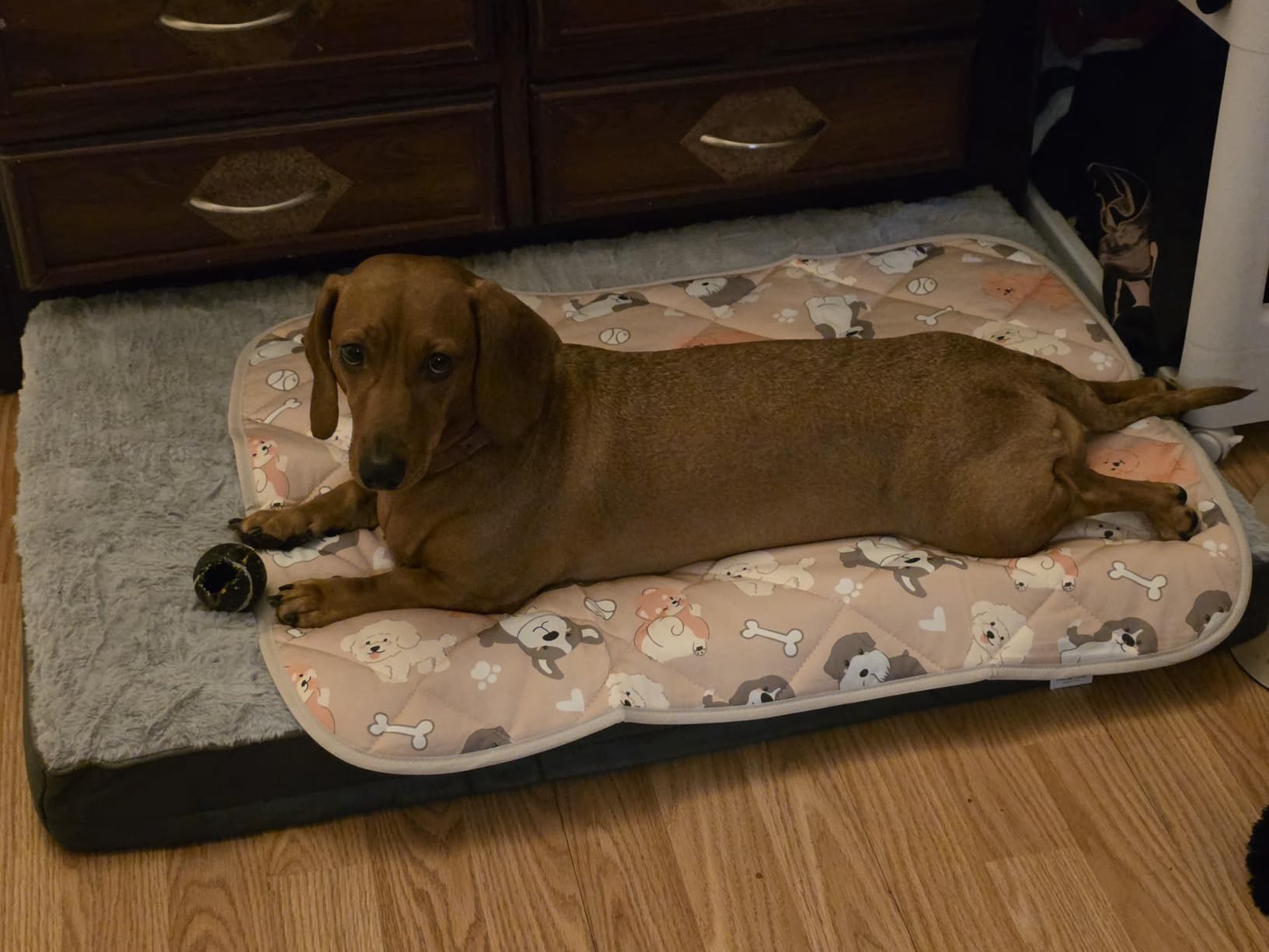 Sunheir Washable Orthopedic Large Dog Bed with Removable Cover, Pet Bed Mat | Big Waterproof Dog Crate Bed, Egg Crate Foam Support, Anti-Slip Bottom, Easy-Clean, Soft Plush Dog Beds Large Sized Dog, Grey customer photo 2
