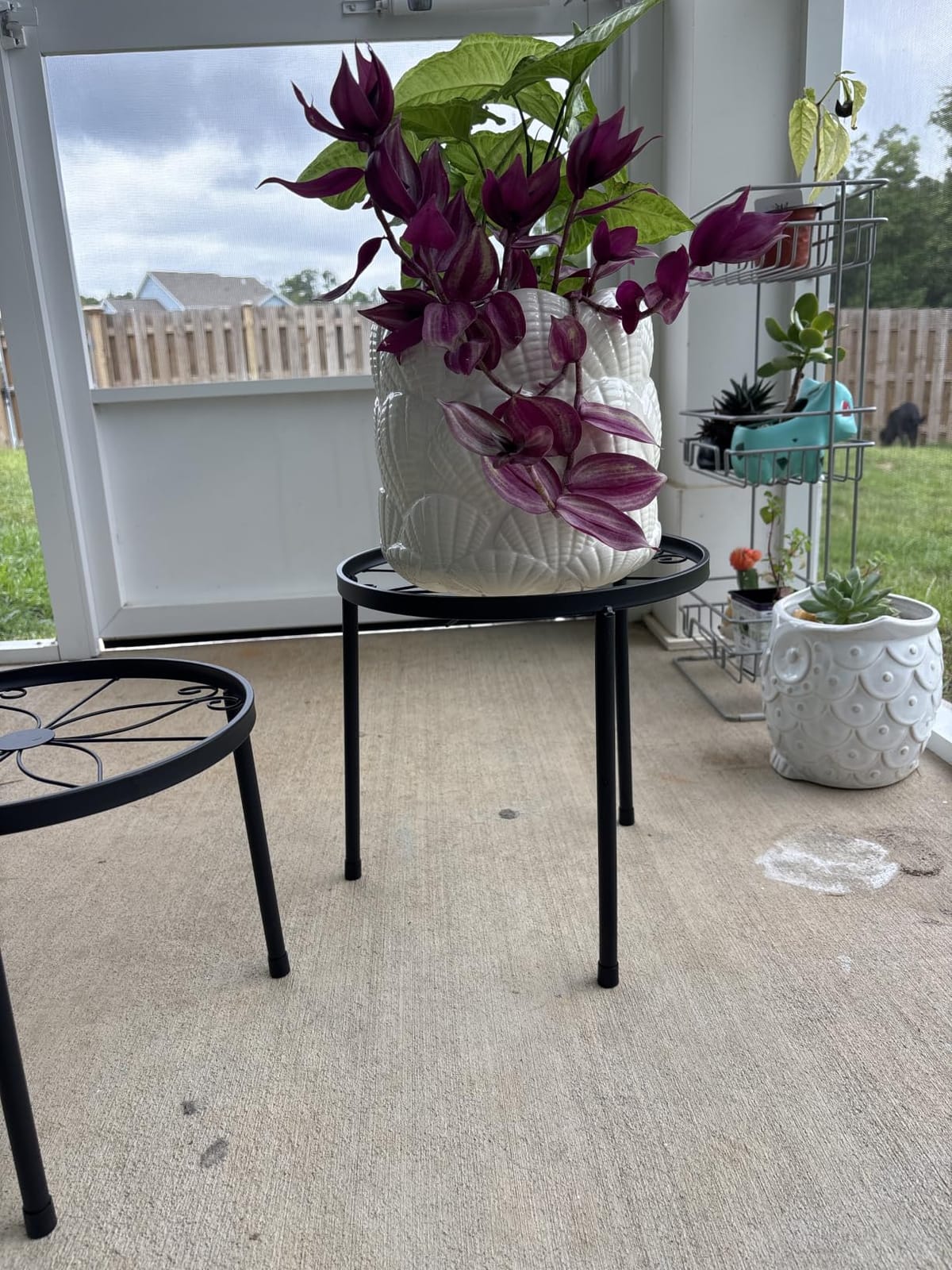 Linpla 5-Pack Decent Metal Plant Stands, Heavy Duty Flower Pot Stands for Multiple Plant, Anti-Rust Iron Plant Pot Shelf, Decoration Racks for Home Indoor and Outdoor (5 Pack Black) customer photo 1