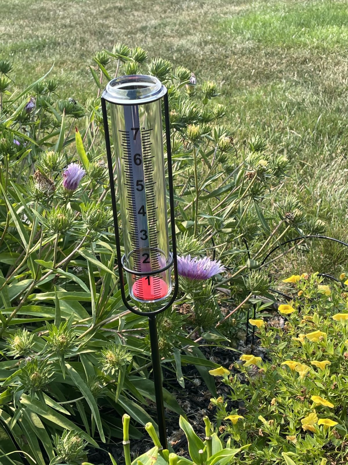 JMBay Rain Gauge Outdoor, Accurate Rain Gauges Outdoors Best Rated, Tall Rain Gauge for Yard with Stake, Decorative Rain Measure Gauge for Garden, Deck, Lawn with Red Floating Buoy, Adjustable Height customer photo 2