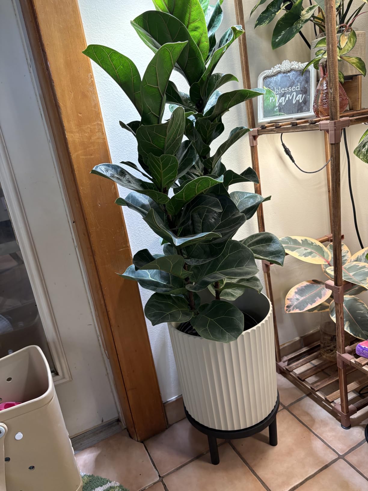 Veradek Demi Series Round Planter w/ Stand for Porch/Patio | Durable Plastic-Concrete & Wooden Stand | Modern Décor for Tall Plants, Flowers customer photo 2