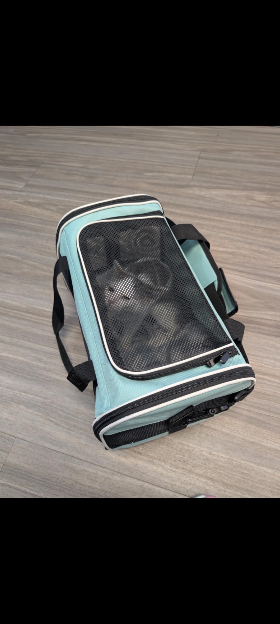 Cat Dog Carriers Soft-Sided Pet Carrier Large Cats for Medium Big Cat Small Dog Puppy up to 16lbs TSA Airline Approved Animal Collapsible Cat Carrier Carriers Travel Carrier Cat Bag (17x11x11) customer photo 2